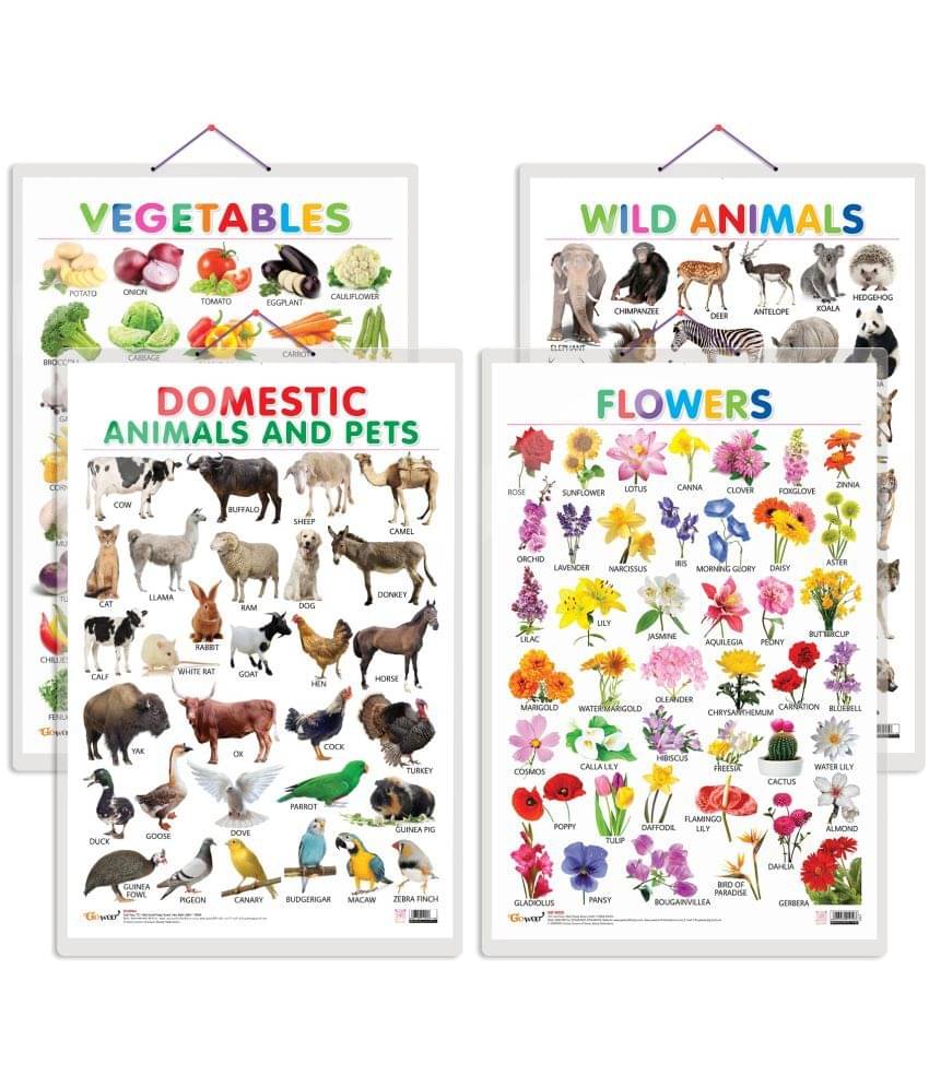 Set of 4 Vegetables, Domestic Animals and Pets, Wild Animals and Flowers Early Learning Educational Charts for Kids | 20"X30" inch |Non-Tearable and Waterproof | Double Sided Laminated | Perfect for Homeschooling, Kindergarten and Nursery Students Set of 4 Vegetables, Domestic Animals and Pets, Wild Animals and Flowers Early Learning Educational Charts for Kids | 20"X30" inch |Non-Tearable and Waterproof | Double Sided Laminated | Perfect for Homeschooling, Kindergarten and Nursery Students