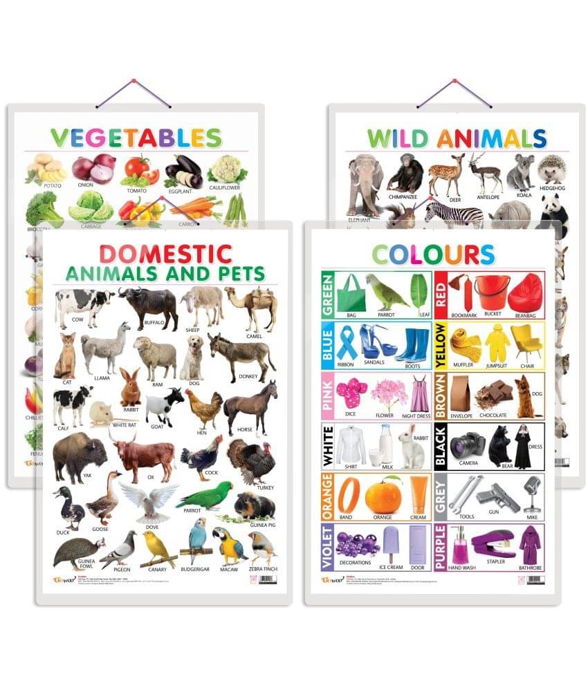 Set of 4 Vegetables, Domestic Animals and Pets, Wild Animals and Colours Early Learning Educational Charts for Kids | 20"X30" inch |Non-Tearable and Waterproof | Double Sided Laminated | Perfect for Homeschooling, Kindergarten and Nursery Students Set of 4 Vegetables, Domestic Animals and Pets, Wild Animals and Colours Early Learning Educational Charts for Kids | 20"X30" inch |Non-Tearable and Waterproof | Double Sided Laminated | Perfect for Homeschooling, Kindergarten and Nursery Students