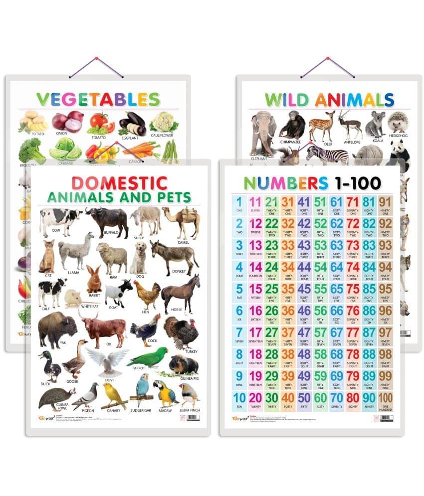 Set of 4 Vegetables, Domestic Animals and Pets, Wild Animals and Numbers 1-100 Early Learning Educational Charts for Kids | 20"X30" inch |Non-Tearable and Waterproof | Double Sided Laminated | Perfect for Homeschooling, Kindergarten and Nursery Students Set of 4 Vegetables, Domestic Animals and Pets, Wild Animals and Numbers 1-100 Early Learning Educational Charts for Kids | 20"X30" inch |Non-Tearable and Waterproof | Double Sided Laminated | Perfect for Homeschooling, Kindergarten and Nursery Students