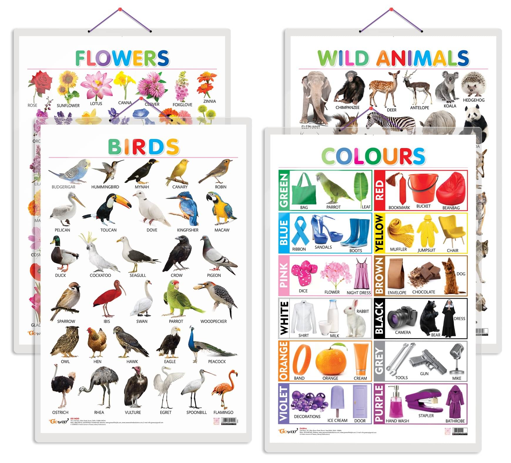 Set of 4 Wild Animals, Birds, Flowers and Colours Early Learning Educational Charts for Kids | 20"X30" inch |Non-Tearable and Waterproof | Double Sided Laminated | Perfect for Homeschooling, Kindergarten and Nursery Students Set of 4 Wild Animals, Birds, Flowers and Colours Early Learning Educational Charts for Kids | 20"X30" inch |Non-Tearable and Waterproof | Double Sided Laminated | Perfect for Homeschooling, Kindergarten and Nursery Students