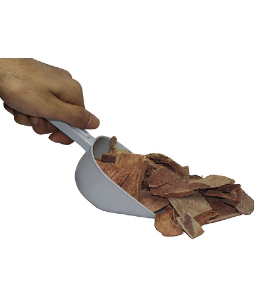 MYGODGIFT Arjun Chal Jadibooti (SABUT) Terminalia Arjuna 400 gm MYGODGIFT Arjun Chal Jadibooti (SABUT) Terminalia Arjuna 400 gm