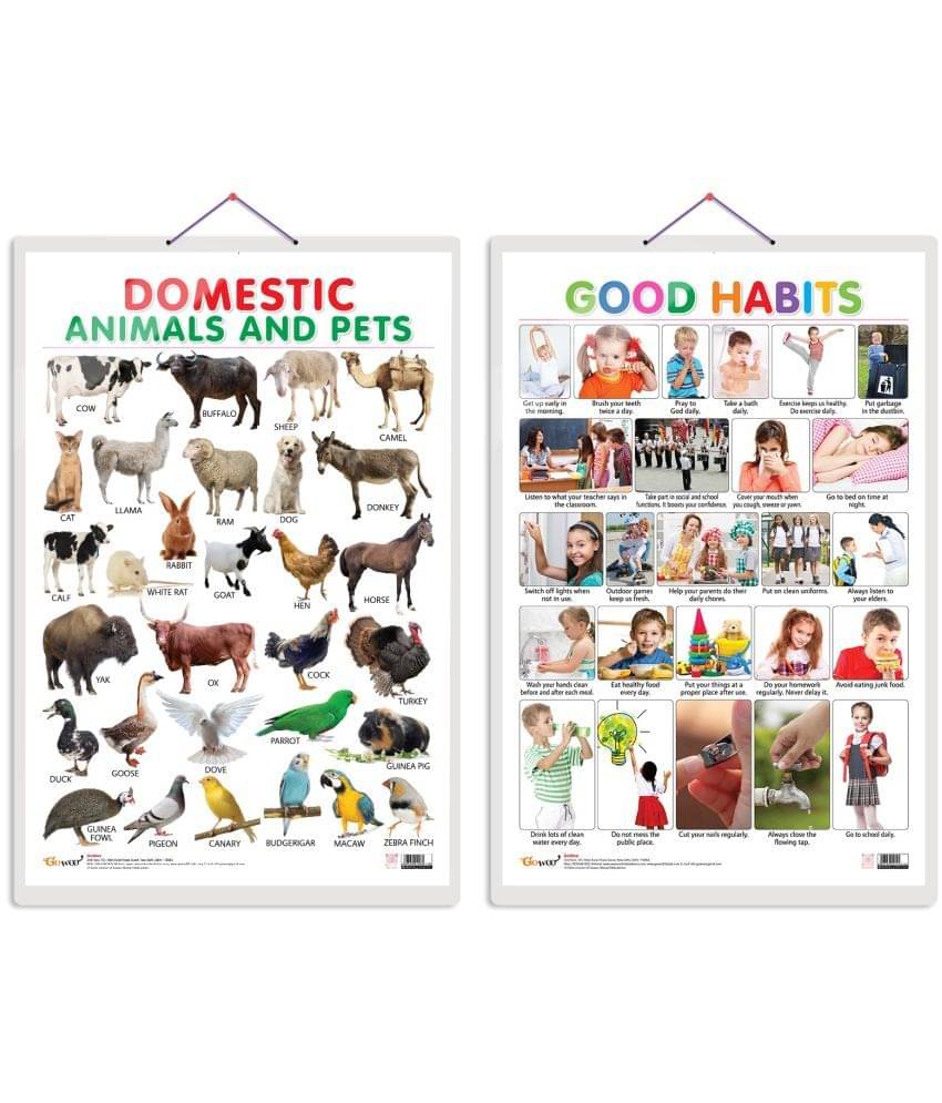 Set of 2 Domestic Animals and Pets and Good Habits Early Learning Educational Charts for Kids | 20"X30" inch |Non-Tearable and Waterproof | Double Sided Laminated | Perfect for Homeschooling, Kindergarten and Nursery Students     			Set of 2 Domestic Animals and Pets and Good Habits Early Learning Educational Charts for Kids | 20"X30" inch |Non-Tearable and Waterproof | Double Sided Laminated | Perfect for Homeschooling, Kindergarten and Nursery Students