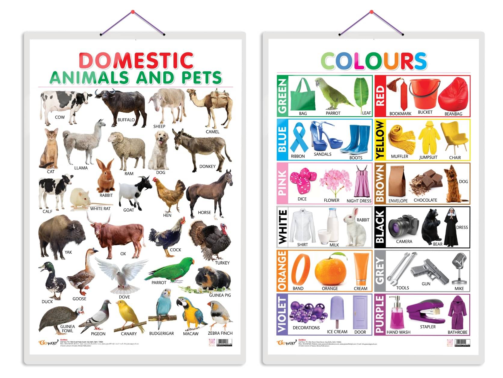     			Set of 2 Domestic Animals and Pets and Colours Early Learning Educational Charts for Kids | 20"X30" inch |Non-Tearable and Waterproof | Double Sided Laminated | Perfect for Homeschooling, Kindergarten and Nursery Students