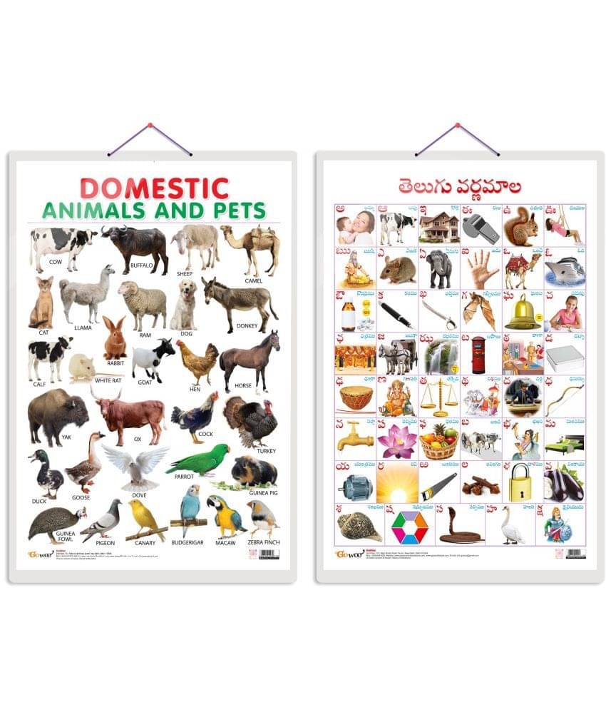     			Set of 2 Domestic Animals and Pets and Telugu Alphabet (Telugu) Early Learning Educational Charts for Kids | 20"X30" inch |Non-Tearable and Waterproof | Double Sided Laminated | Perfect for Homeschooling, Kindergarten and Nursery Students