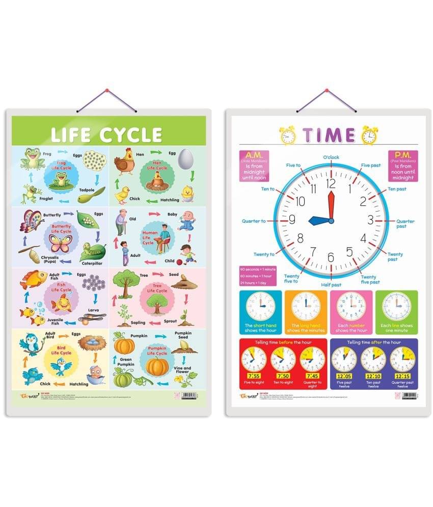 Set of 2 Life Cycle and TIME Early Learning Educational Charts for Kids | 20"X30" inch |Non-Tearable and Waterproof | Double Sided Laminated | Perfect for Homeschooling, Kindergarten and Nursery Students Set of 2 Life Cycle and TIME Early Learning Educational Charts for Kids | 20"X30" inch |Non-Tearable and Waterproof | Double Sided Laminated | Perfect for Homeschooling, Kindergarten and Nursery Students