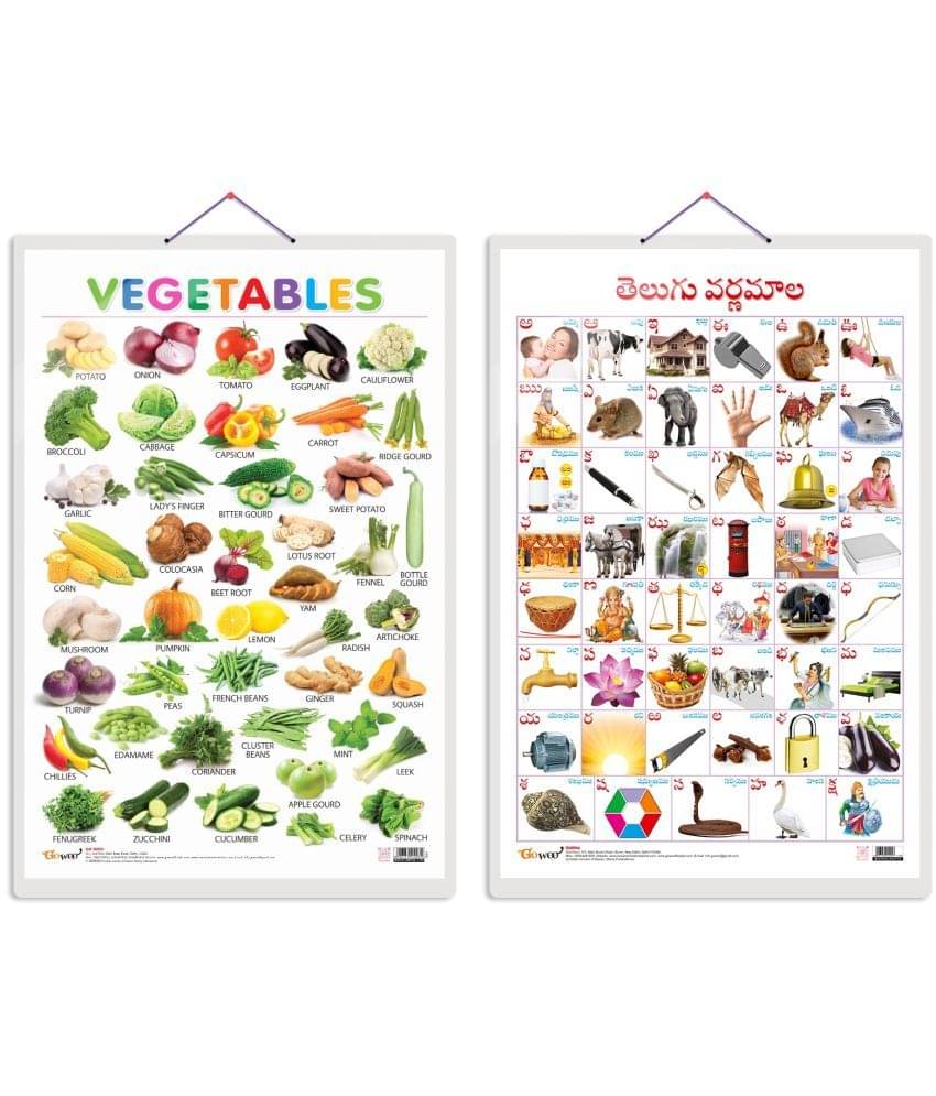 Set of 2 Vegetables and Telugu Alphabet (Telugu) Early Learning Educational Charts for Kids | 20"X30" inch |Non-Tearable and Waterproof | Double Sided Laminated | Perfect for Homeschooling, Kindergarten and Nursery Students Set of 2 Vegetables and Telugu Alphabet (Telugu) Early Learning Educational Charts for Kids | 20"X30" inch |Non-Tearable and Waterproof | Double Sided Laminated | Perfect for Homeschooling, Kindergarten and Nursery Students