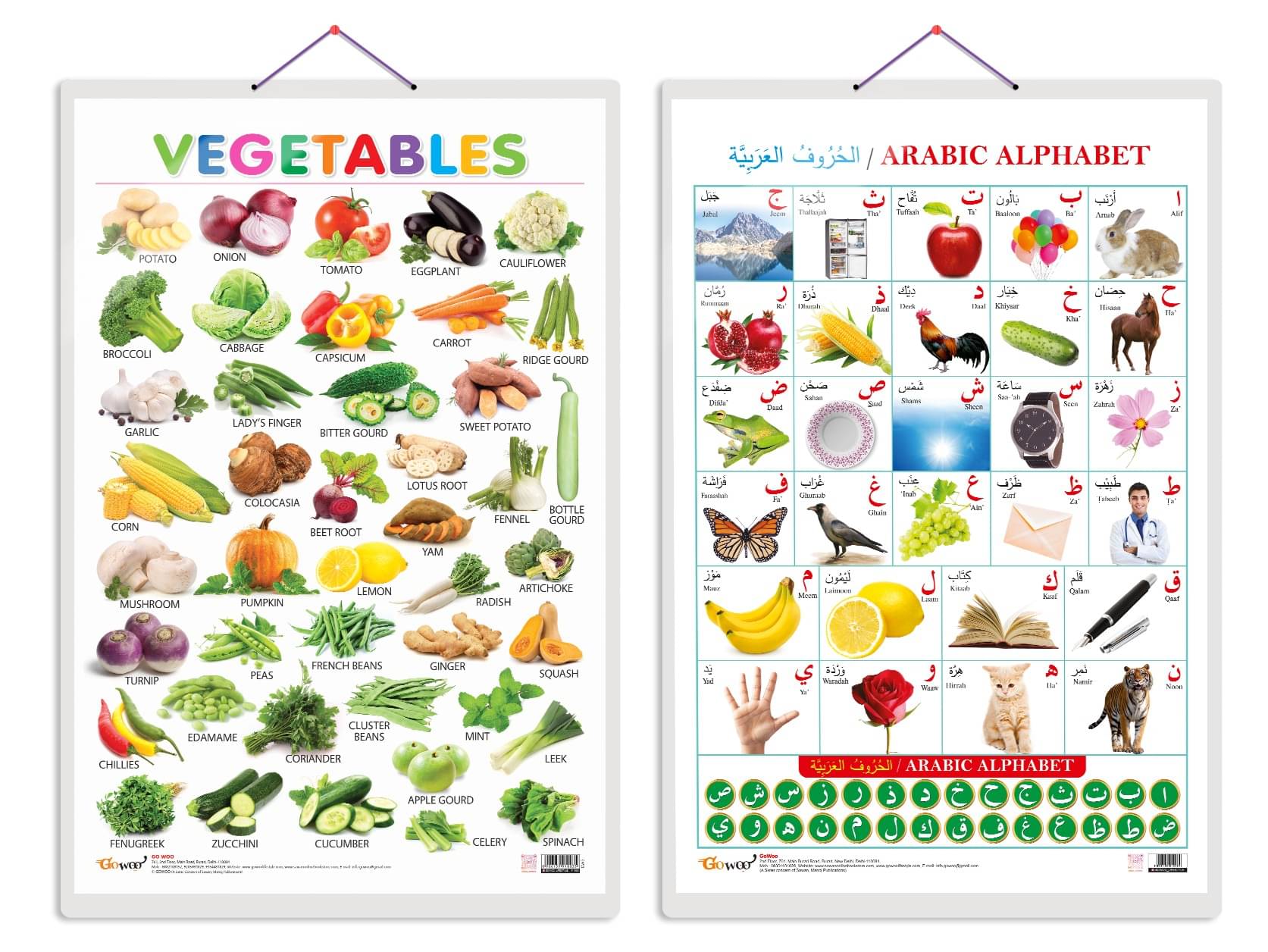 Set of 2 Vegetables and Arabic Alphabet (Arabic) Early Learning Educational Charts for Kids | 20"X30" inch |Non-Tearable and Waterproof | Double Sided Laminated | Perfect for Homeschooling, Kindergarten and Nursery Students Set of 2 Vegetables and Arabic Alphabet (Arabic) Early Learning Educational Charts for Kids | 20"X30" inch |Non-Tearable and Waterproof | Double Sided Laminated | Perfect for Homeschooling, Kindergarten and Nursery Students