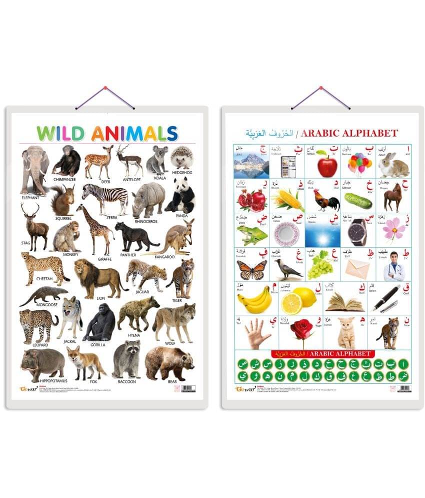 Set of 2 Wild Animals and Arabic Alphabet (Arabic) Early Learning Educational Charts for Kids | 20"X30" inch |Non-Tearable and Waterproof | Double Sided Laminated | Perfect for Homeschooling, Kindergarten and Nursery Students Set of 2 Wild Animals and Arabic Alphabet (Arabic) Early Learning Educational Charts for Kids | 20"X30" inch |Non-Tearable and Waterproof | Double Sided Laminated | Perfect for Homeschooling, Kindergarten and Nursery Students