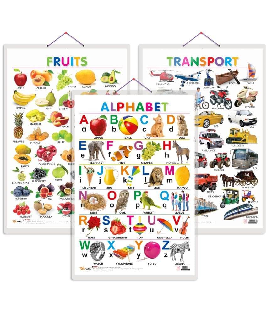     			Set of 3 Alphabet, Fruits and Transport Early Learning Educational Charts for Kids | 20"X30" inch |Non-Tearable and Waterproof | Double Sided Laminated | Perfect for Homeschooling, Kindergarten and Nursery Students