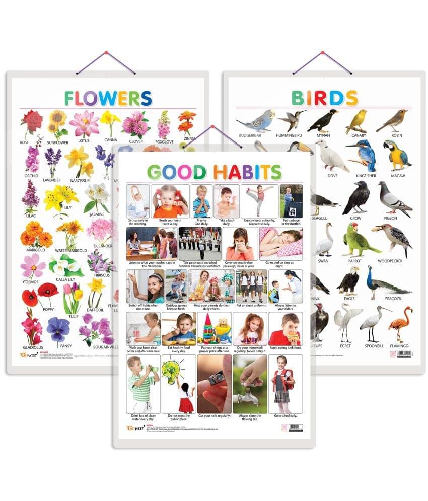 Set of 3 Birds, Flowers and Good Habits Early Learning Educational Charts for Kids | 20"X30" inch |Non-Tearable and Waterproof | Double Sided Laminated | Perfect for Homeschooling, Kindergarten and Nursery Students Set of 3 Birds, Flowers and Good Habits Early Learning Educational Charts for Kids | 20"X30" inch |Non-Tearable and Waterproof | Double Sided Laminated | Perfect for Homeschooling, Kindergarten and Nursery Students