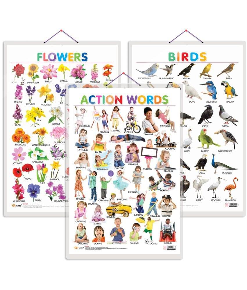 Set of 3 Birds, Flowers and Action Words Early Learning Educational Charts for Kids | 20"X30" inch |Non-Tearable and Waterproof | Double Sided Laminated | Perfect for Homeschooling, Kindergarten and Nursery Students Set of 3 Birds, Flowers and Action Words Early Learning Educational Charts for Kids | 20"X30" inch |Non-Tearable and Waterproof | Double Sided Laminated | Perfect for Homeschooling, Kindergarten and Nursery Students