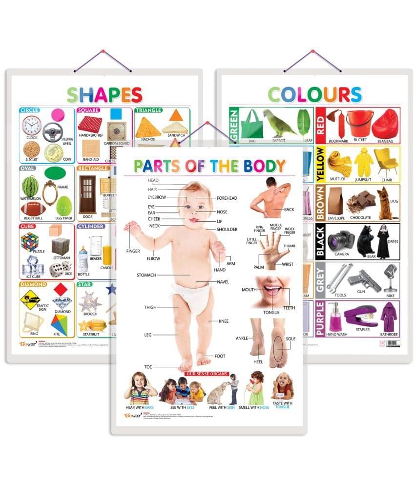 Set of 3 Colours, Shapes and Parts of the Body Early Learning Educational Charts for Kids | 20"X30" inch |Non-Tearable and Waterproof | Double Sided Laminated | Perfect for Homeschooling, Kindergarten and Nursery Students Set of 3 Colours, Shapes and Parts of the Body Early Learning Educational Charts for Kids | 20"X30" inch |Non-Tearable and Waterproof | Double Sided Laminated | Perfect for Homeschooling, Kindergarten and Nursery Students