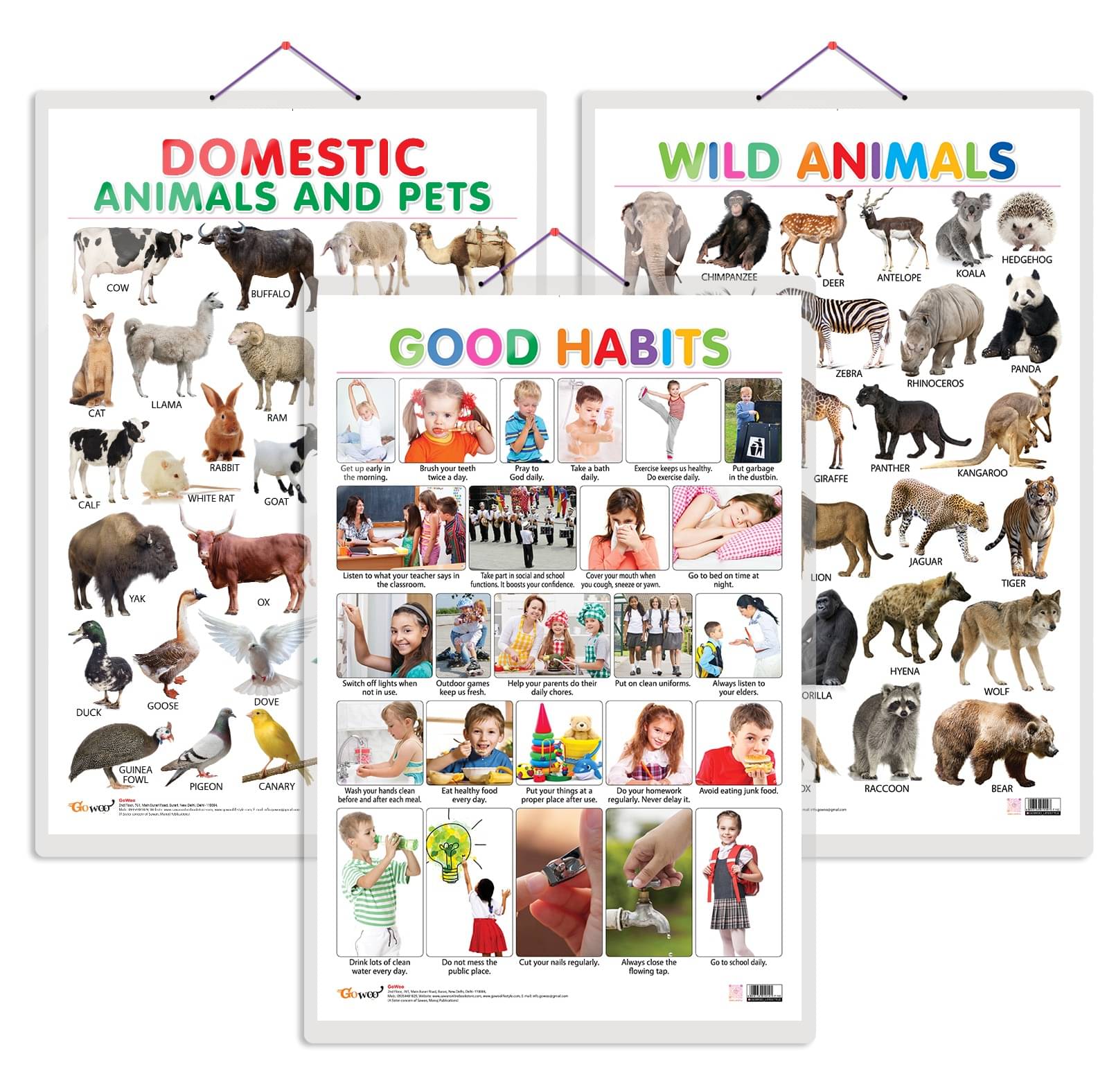 Set of 3 Domestic Animals and Pets, Wild Animals and Good Habits Early Learning Educational Charts for Kids | 20"X30" inch |Non-Tearable and Waterproof | Double Sided Laminated | Perfect for Homeschooling, Kindergarten and Nursery Students     			Set of 3 Domestic Animals and Pets, Wild Animals and Good Habits Early Learning Educational Charts for Kids | 20"X30" inch |Non-Tearable and Waterproof | Double Sided Laminated | Perfect for Homeschooling, Kindergarten and Nursery Students
