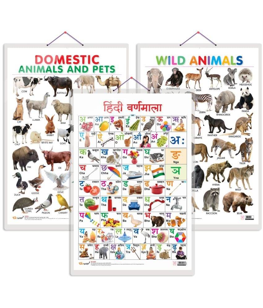 Set of 3 Domestic Animals and Pets, Wild Animals and Hindi Varnamala Early Learning Educational Charts for Kids | 20"X30" inch |Non-Tearable and Waterproof | Double Sided Laminated | Perfect for Homeschooling, Kindergarten and Nursery Students     			Set of 3 Domestic Animals and Pets, Wild Animals and Hindi Varnamala Early Learning Educational Charts for Kids | 20"X30" inch |Non-Tearable and Waterproof | Double Sided Laminated | Perfect for Homeschooling, Kindergarten and Nursery Students