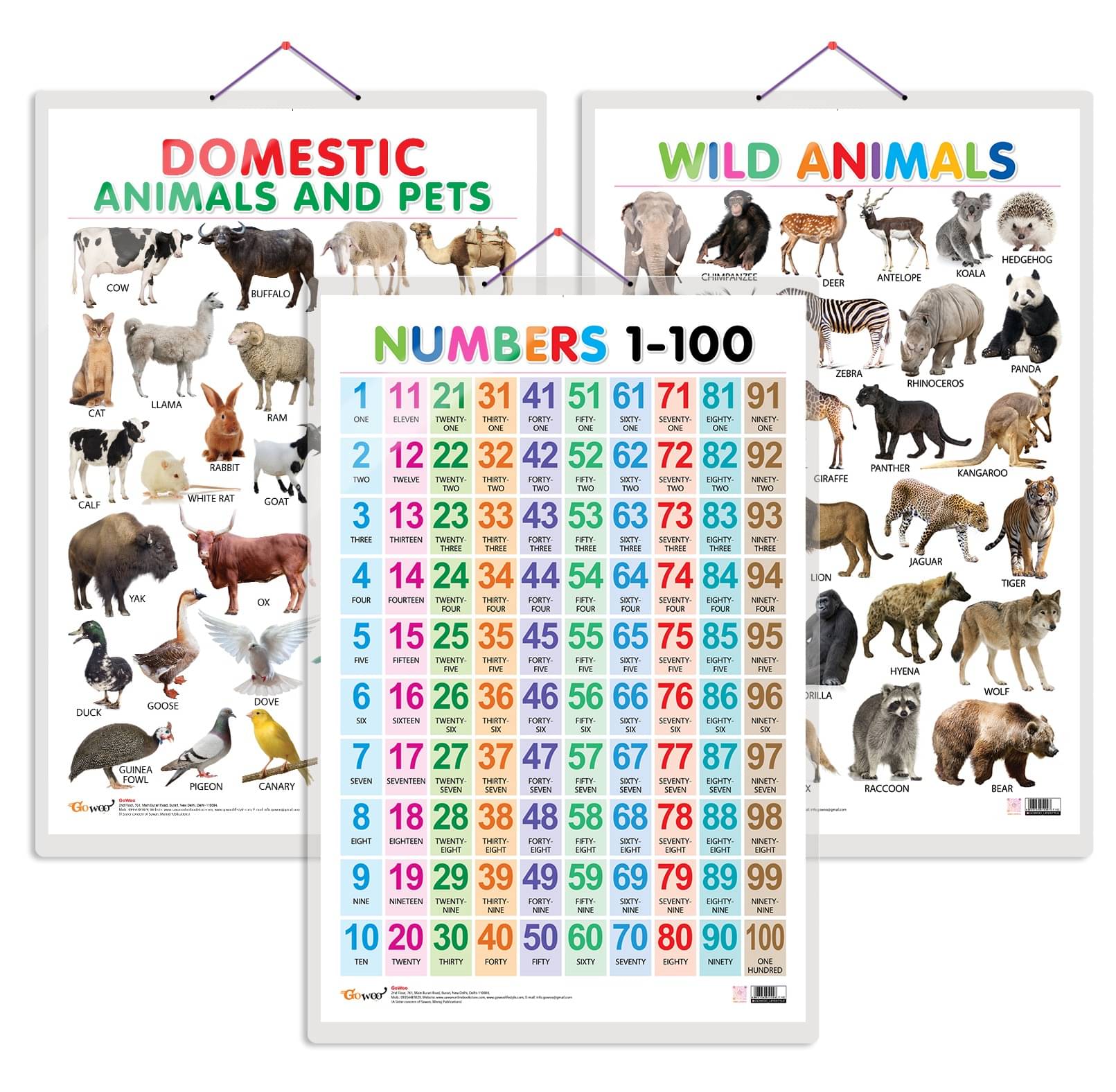 Set of 3 Domestic Animals and Pets, Wild Animals and Numbers 1-100 Early Learning Educational Charts for Kids | 20"X30" inch |Non-Tearable and Waterproof | Double Sided Laminated | Perfect for Homeschooling, Kindergarten and Nursery Students Set of 3 Domestic Animals and Pets, Wild Animals and Numbers 1-100 Early Learning Educational Charts for Kids | 20"X30" inch |Non-Tearable and Waterproof | Double Sided Laminated | Perfect for Homeschooling, Kindergarten and Nursery Students