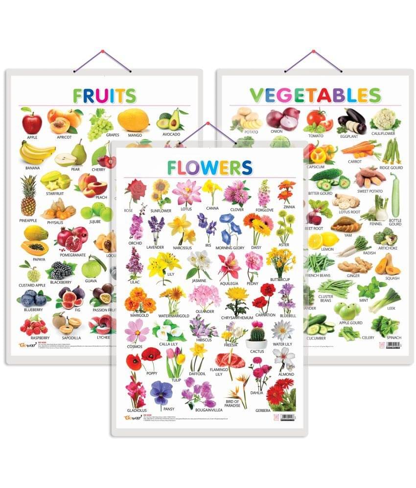 Set of 3 Fruits, Vegetables and Flowers Early Learning Educational Charts for Kids | 20"X30" inch |Non-Tearable and Waterproof | Double Sided Laminated | Perfect for Homeschooling, Kindergarten and Nursery Students Set of 3 Fruits, Vegetables and Flowers Early Learning Educational Charts for Kids | 20"X30" inch |Non-Tearable and Waterproof | Double Sided Laminated | Perfect for Homeschooling, Kindergarten and Nursery Students