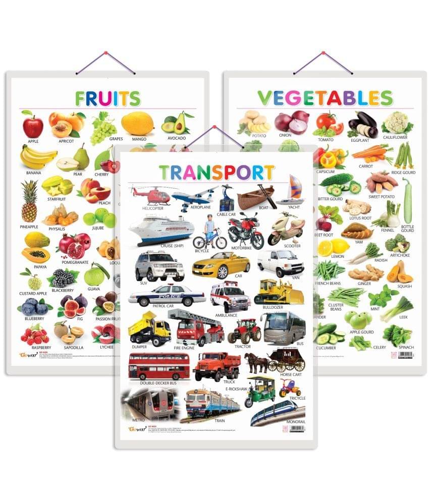 Set of 3 Fruits, Vegetables and Transport Early Learning Educational Charts for Kids | 20"X30" inch |Non-Tearable and Waterproof | Double Sided Laminated | Perfect for Homeschooling, Kindergarten and Nursery Students Set of 3 Fruits, Vegetables and Transport Early Learning Educational Charts for Kids | 20"X30" inch |Non-Tearable and Waterproof | Double Sided Laminated | Perfect for Homeschooling, Kindergarten and Nursery Students