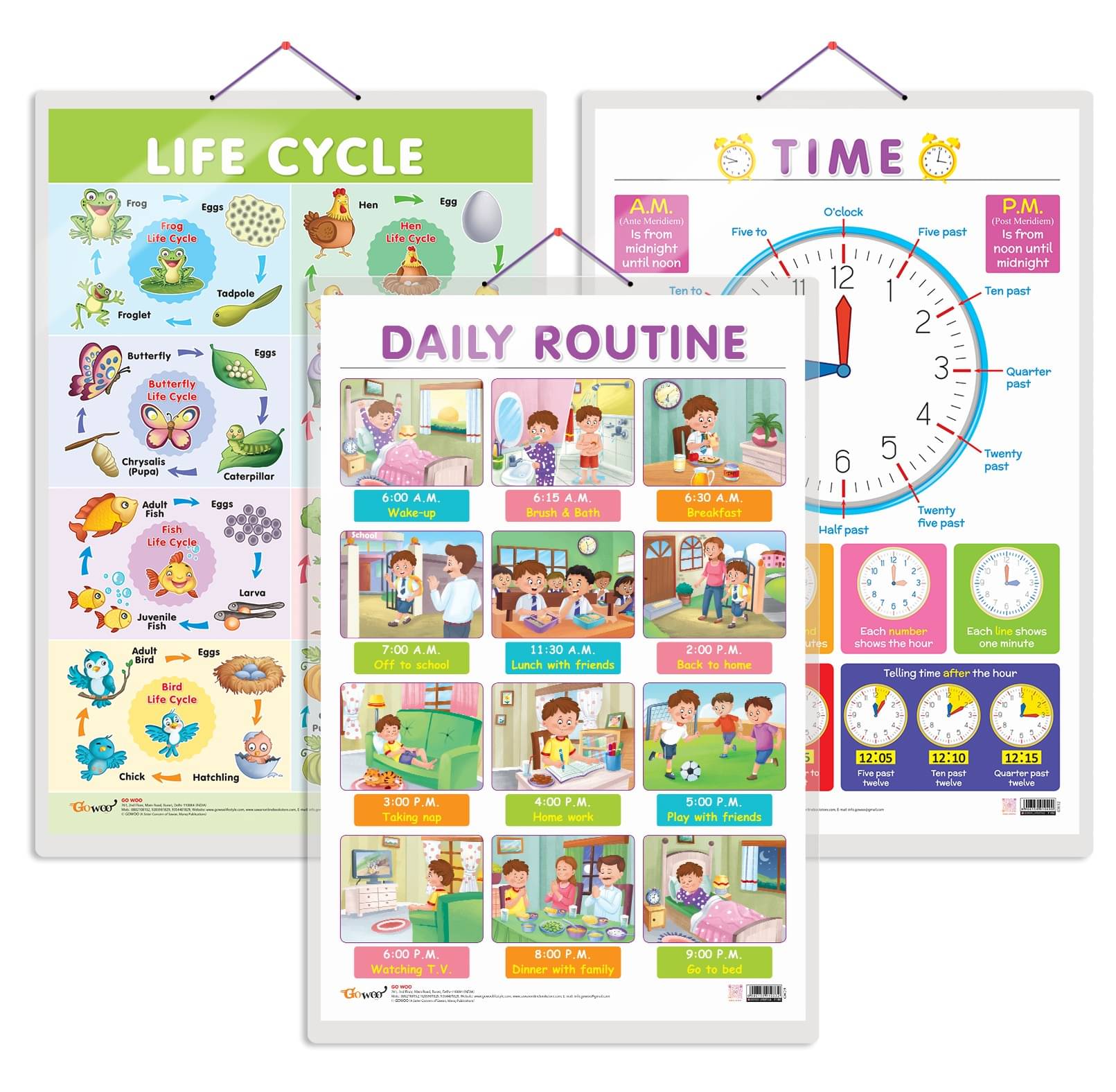 Set of 3 Life Cycle, TIME and DAILY ROUTINE Early Learning Educational Charts for Kids | 20"X30" inch |Non-Tearable and Waterproof | Double Sided Laminated | Perfect for Homeschooling, Kindergarten and Nursery Students Set of 3 Life Cycle, TIME and DAILY ROUTINE Early Learning Educational Charts for Kids | 20"X30" inch |Non-Tearable and Waterproof | Double Sided Laminated | Perfect for Homeschooling, Kindergarten and Nursery Students