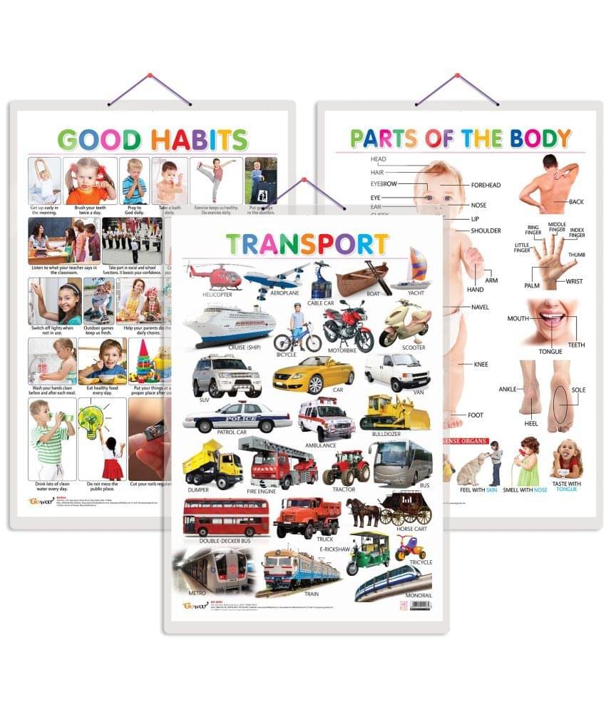 Set of 3 Parts of the Body, Good Habits and Transport Chart for Kids | 20"X30" inch |Non-Tearable and Waterproof | Double Sided Laminated | Perfect for Homeschooling, Kindergarten and Nursery Students Set of 3 Parts of the Body, Good Habits and Transport Chart for Kids | 20"X30" inch |Non-Tearable and Waterproof | Double Sided Laminated | Perfect for Homeschooling, Kindergarten and Nursery Students