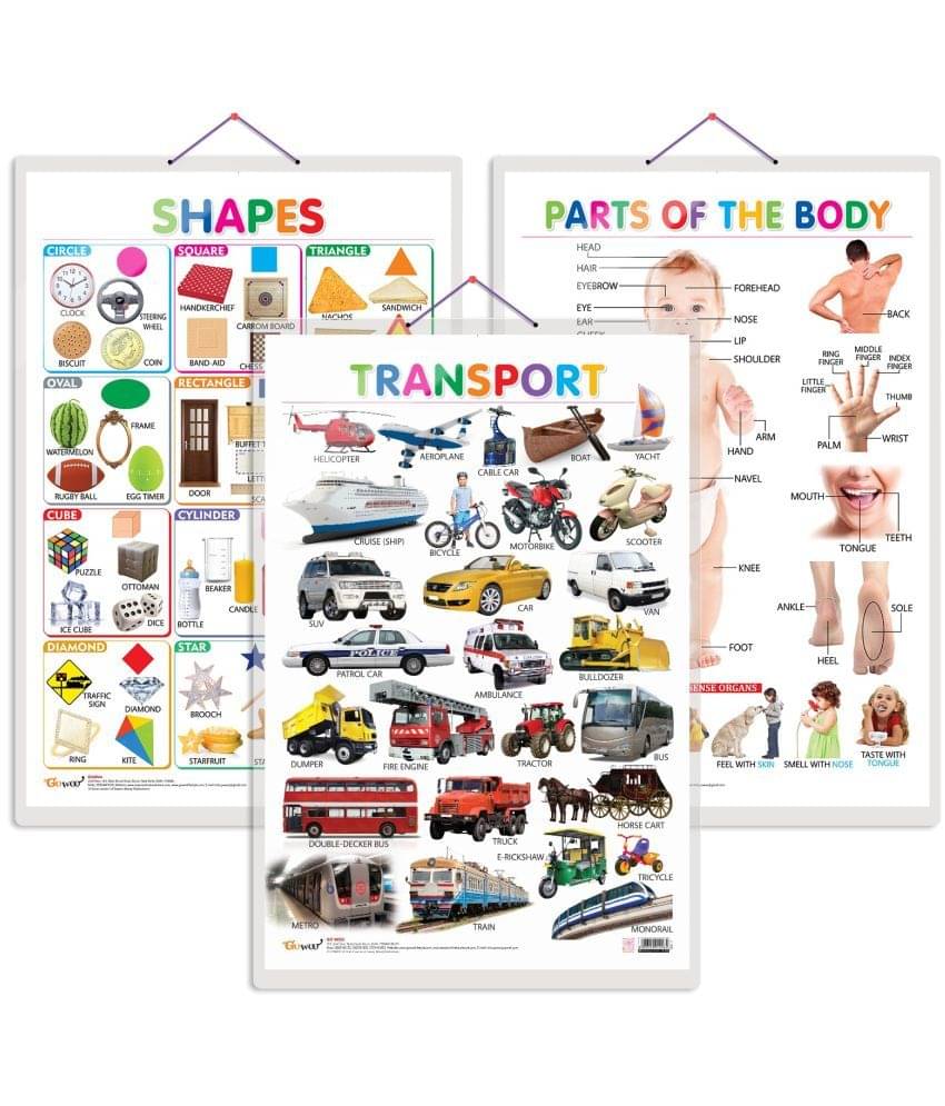 Set of 3 Shapes, Parts of the Body and Transport Chart for Kids | 20"X30" inch |Non-Tearable and Waterproof | Double Sided Laminated | Perfect for Homeschooling, Kindergarten and Nursery Students Set of 3 Shapes, Parts of the Body and Transport Chart for Kids | 20"X30" inch |Non-Tearable and Waterproof | Double Sided Laminated | Perfect for Homeschooling, Kindergarten and Nursery Students