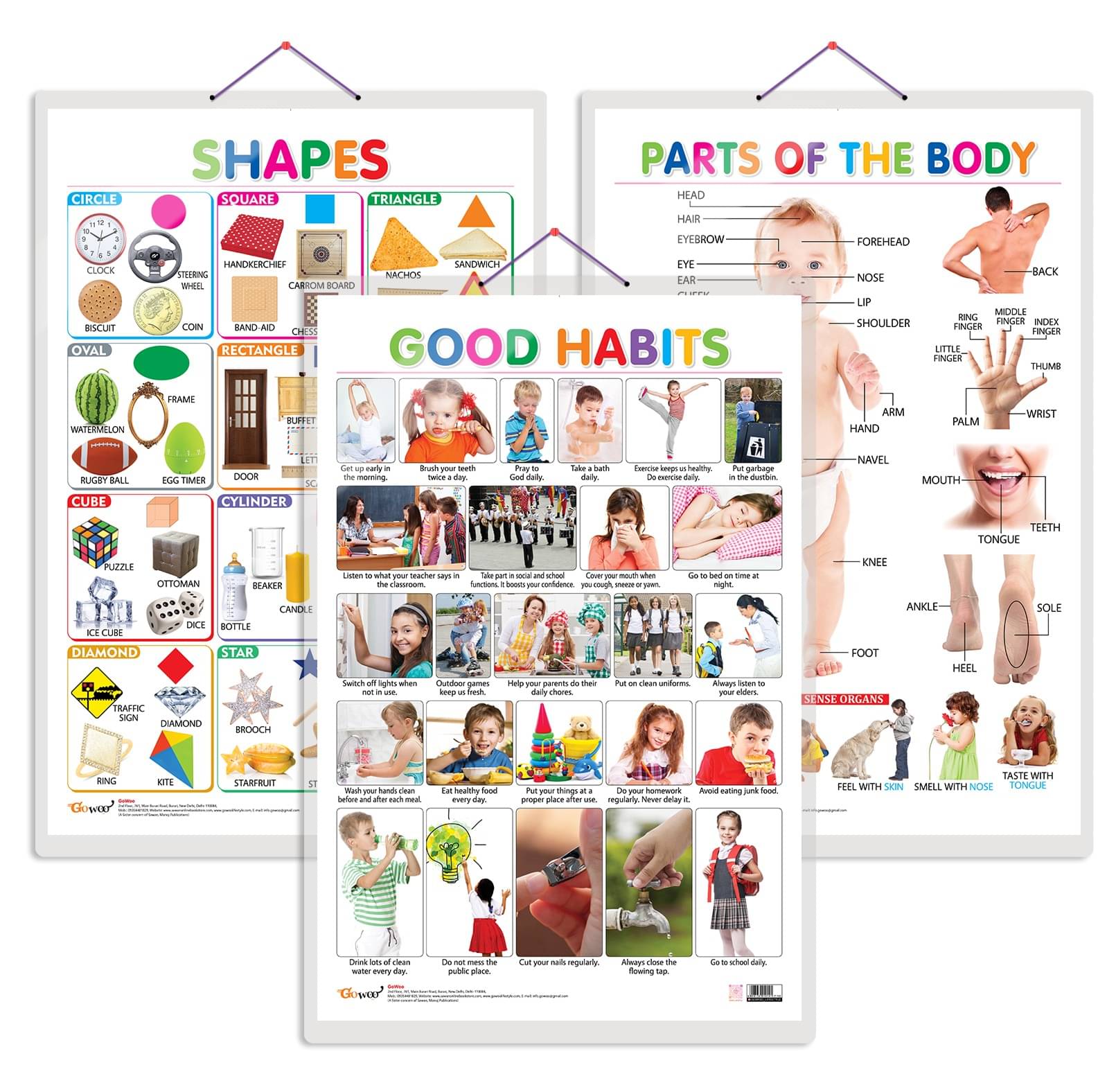     			Set of 3 Shapes, Parts of the Body and Good Habits Chart for Kids | 20"X30" inch |Non-Tearable and Waterproof | Double Sided Laminated | Perfect for Homeschooling, Kindergarten and Nursery Students