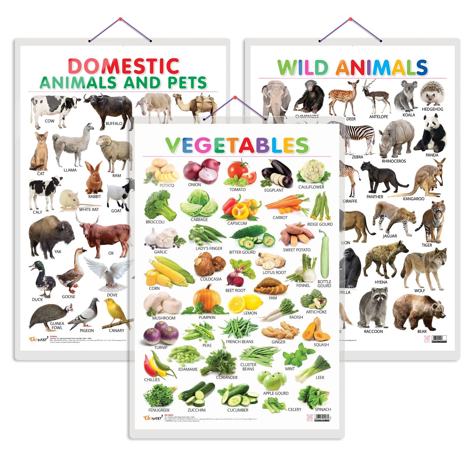     			Set of 3 Vegetables, Domestic Animals and Pets and Wild Animals Early Learning Educational Charts for Kids | 20"X30" inch |Non-Tearable and Waterproof | Double Sided Laminated | Perfect for Homeschooling, Kindergarten and Nursery Students