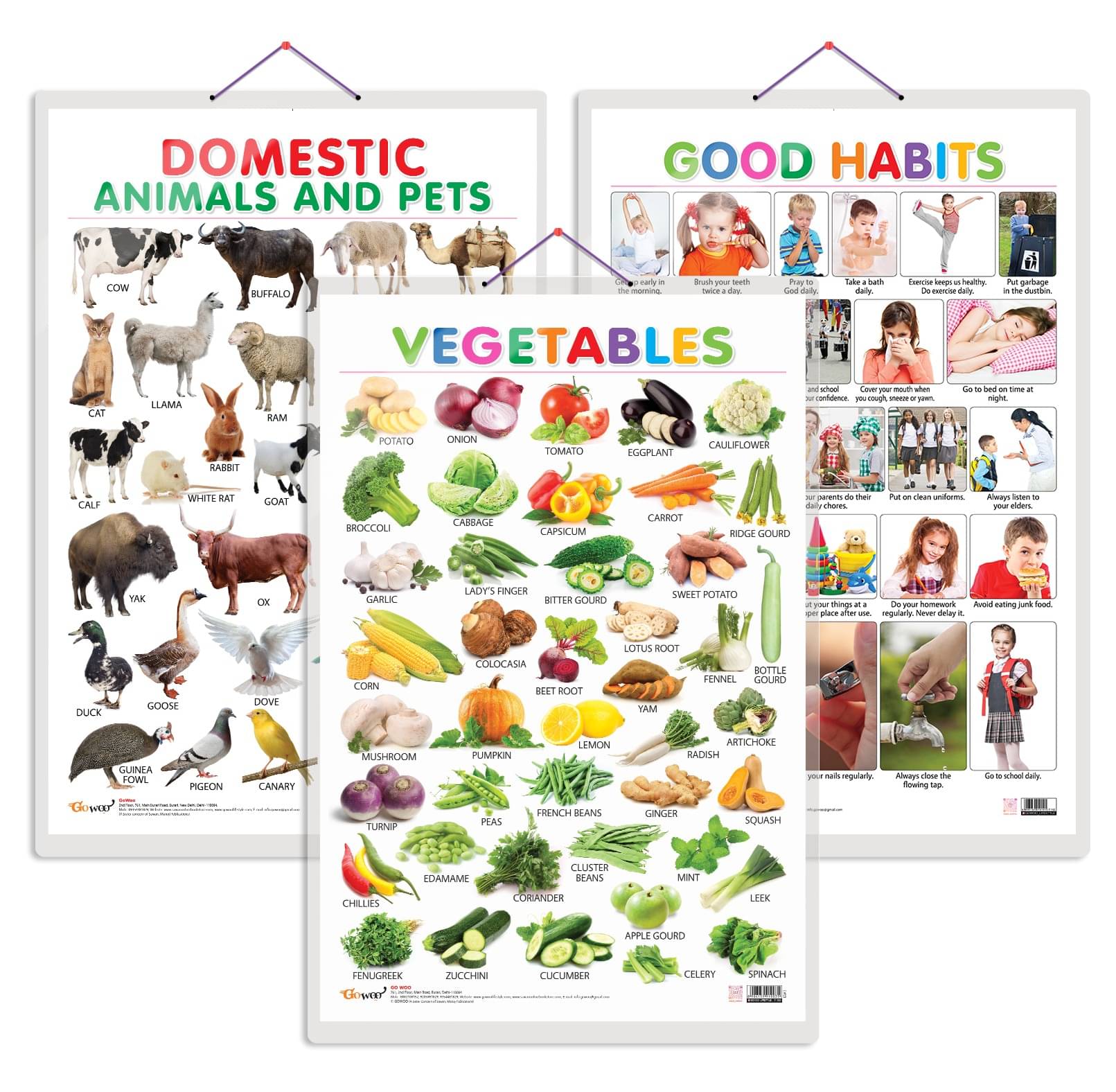 Set of 3 Vegetables, Domestic Animals and Pets and Good Habits Early Learning Educational Charts for Kids | 20"X30" inch |Non-Tearable and Waterproof | Double Sided Laminated | Perfect for Homeschooling, Kindergarten and Nursery Students     			Set of 3 Vegetables, Domestic Animals and Pets and Good Habits Early Learning Educational Charts for Kids | 20"X30" inch |Non-Tearable and Waterproof | Double Sided Laminated | Perfect for Homeschooling, Kindergarten and Nursery Students