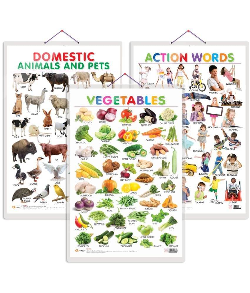 Set of 3 Vegetables, Domestic Animals and Pets and Action Words Early Learning Educational Charts for Kids | 20"X30" inch |Non-Tearable and Waterproof | Double Sided Laminated | Perfect for Homeschooling, Kindergarten and Nursery Students Set of 3 Vegetables, Domestic Animals and Pets and Action Words Early Learning Educational Charts for Kids | 20"X30" inch |Non-Tearable and Waterproof | Double Sided Laminated | Perfect for Homeschooling, Kindergarten and Nursery Students
