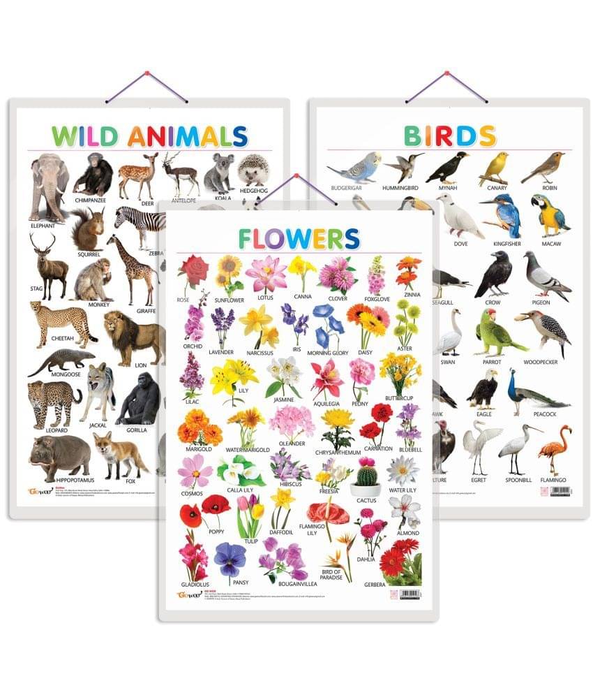 Set of 3 Wild Animals, Birds and Flowers Early Learning Educational Charts for Kids | 20"X30" inch |Non-Tearable and Waterproof | Double Sided Laminated | Perfect for Homeschooling, Kindergarten and Nursery Students Set of 3 Wild Animals, Birds and Flowers Early Learning Educational Charts for Kids | 20"X30" inch |Non-Tearable and Waterproof | Double Sided Laminated | Perfect for Homeschooling, Kindergarten and Nursery Students