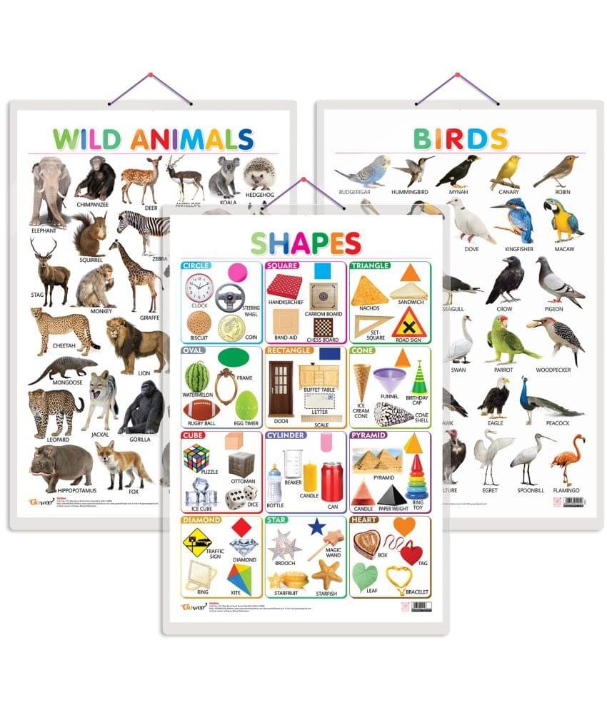 Set of 3 Wild Animals, Birds and Shapes Early Learning Educational Charts for Kids | 20"X30" inch |Non-Tearable and Waterproof | Double Sided Laminated | Perfect for Homeschooling, Kindergarten and Nursery Students Set of 3 Wild Animals, Birds and Shapes Early Learning Educational Charts for Kids | 20"X30" inch |Non-Tearable and Waterproof | Double Sided Laminated | Perfect for Homeschooling, Kindergarten and Nursery Students