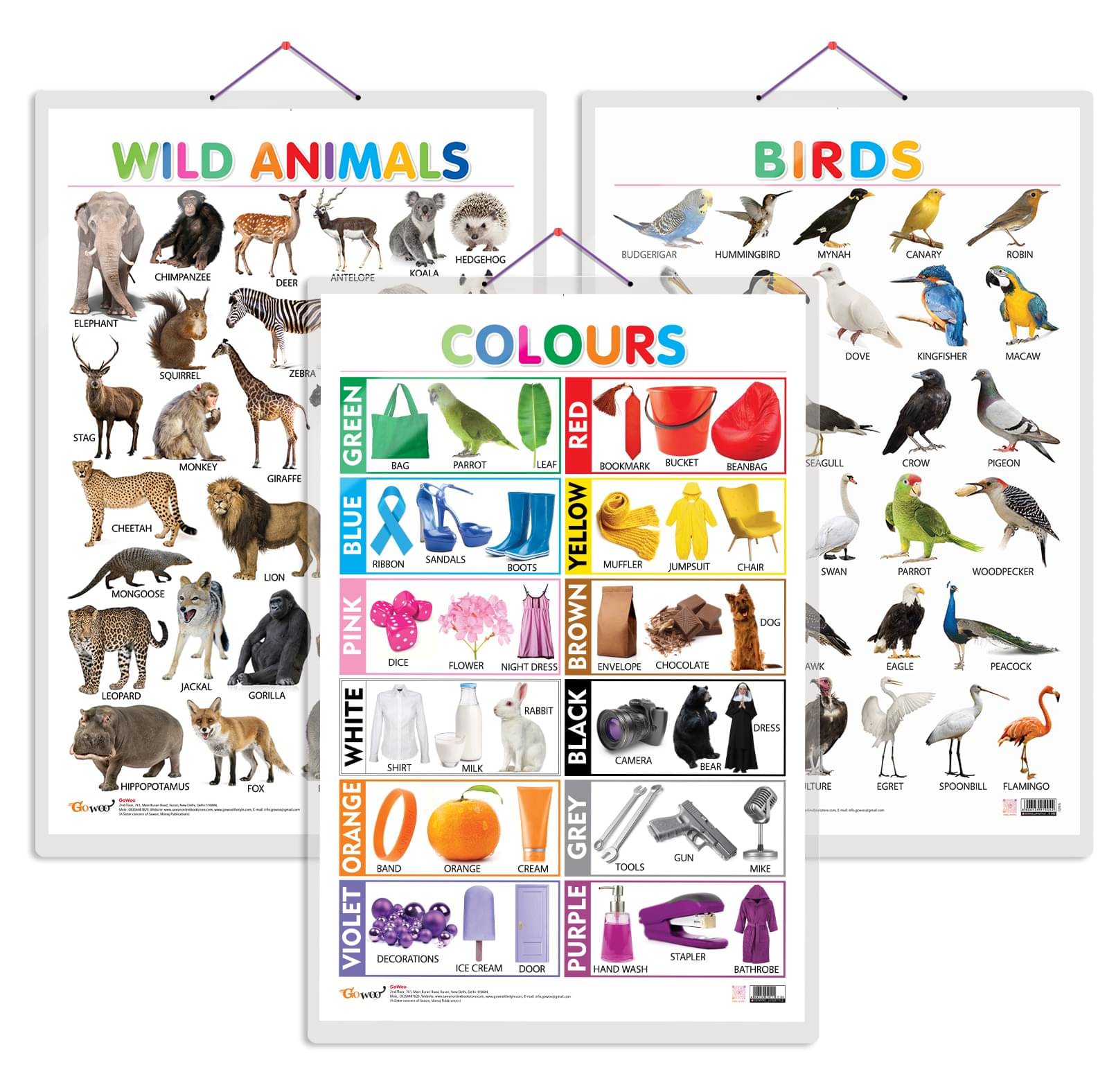 Set of 3 Wild Animals, Birds and Colours Early Learning Educational Charts for Kids | 20"X30" inch |Non-Tearable and Waterproof | Double Sided Laminated | Perfect for Homeschooling, Kindergarten and Nursery Students Set of 3 Wild Animals, Birds and Colours Early Learning Educational Charts for Kids | 20"X30" inch |Non-Tearable and Waterproof | Double Sided Laminated | Perfect for Homeschooling, Kindergarten and Nursery Students