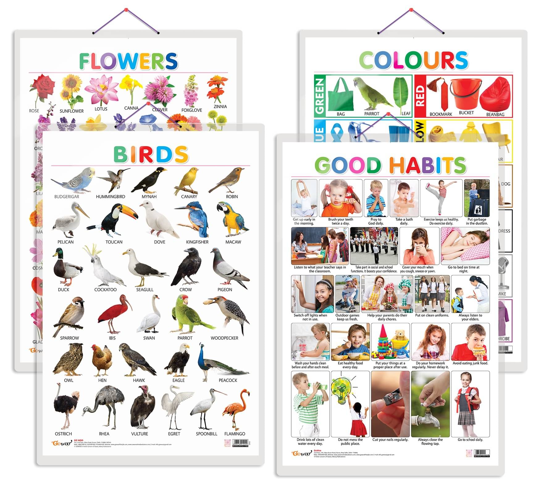 Set of 4 Birds, Flowers, Colours and Good Habits Early Learning Educational Charts for Kids | 20"X30" inch |Non-Tearable and Waterproof | Double Sided Laminated | Perfect for Homeschooling, Kindergarten and Nursery Students Set of 4 Birds, Flowers, Colours and Good Habits Early Learning Educational Charts for Kids | 20"X30" inch |Non-Tearable and Waterproof | Double Sided Laminated | Perfect for Homeschooling, Kindergarten and Nursery Students
