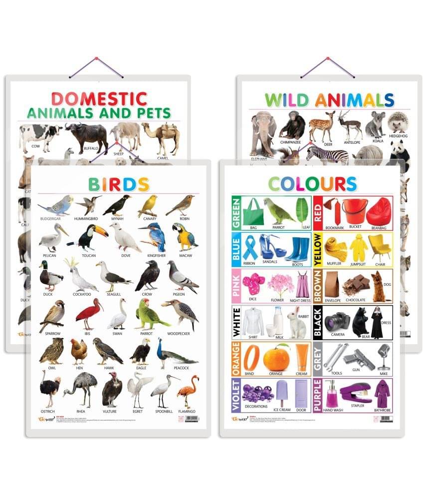 Set of 4 Domestic Animals and Pets, Wild Animals, Birds and Colours Early Learning Educational Charts for Kids | 20"X30" inch |Non-Tearable and Waterproof | Double Sided Laminated | Perfect for Homeschooling, Kindergarten and Nursery Students Set of 4 Domestic Animals and Pets, Wild Animals, Birds and Colours Early Learning Educational Charts for Kids | 20"X30" inch |Non-Tearable and Waterproof | Double Sided Laminated | Perfect for Homeschooling, Kindergarten and Nursery Students