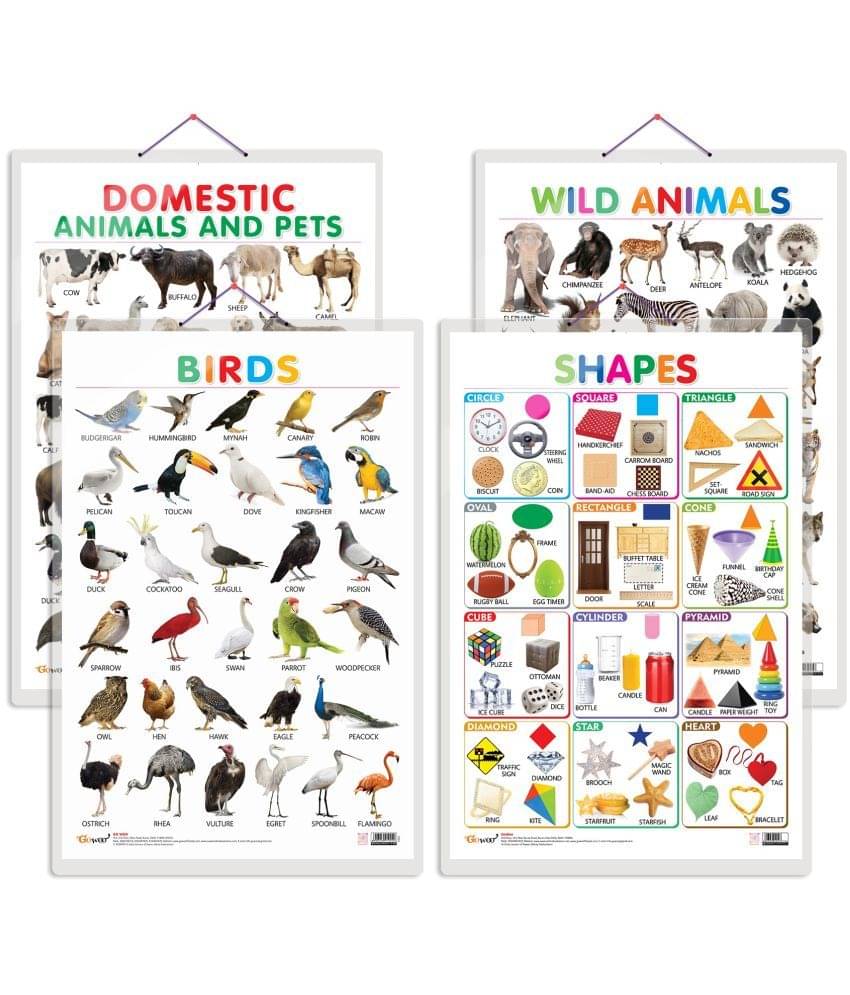 Set of 4 Domestic Animals and Pets, Wild Animals, Birds and Shapes Early Learning Educational Charts for Kids | 20"X30" inch |Non-Tearable and Waterproof | Double Sided Laminated | Perfect for Homeschooling, Kindergarten and Nursery Students Set of 4 Domestic Animals and Pets, Wild Animals, Birds and Shapes Early Learning Educational Charts for Kids | 20"X30" inch |Non-Tearable and Waterproof | Double Sided Laminated | Perfect for Homeschooling, Kindergarten and Nursery Students