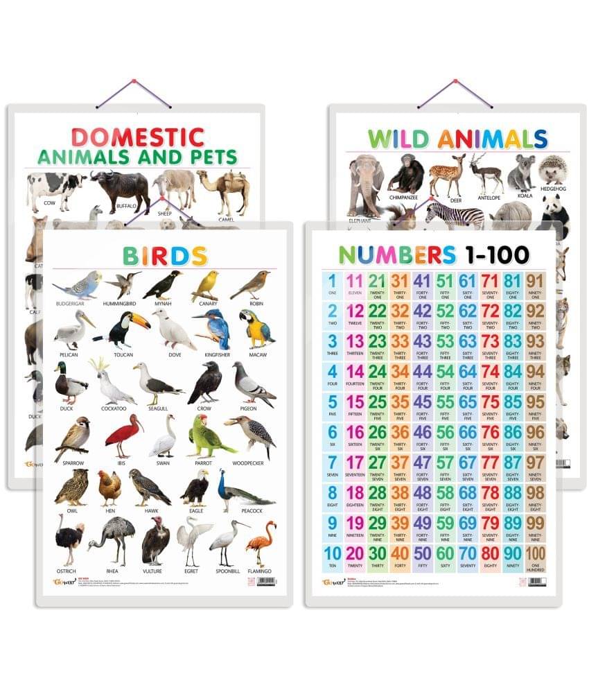 Set of 4 Domestic Animals and Pets, Wild Animals, Birds and Numbers 1-100 Early Learning Educational Charts for Kids | 20"X30" inch |Non-Tearable and Waterproof | Double Sided Laminated | Perfect for Homeschooling, Kindergarten and Nursery Students Set of 4 Domestic Animals and Pets, Wild Animals, Birds and Numbers 1-100 Early Learning Educational Charts for Kids | 20"X30" inch |Non-Tearable and Waterproof | Double Sided Laminated | Perfect for Homeschooling, Kindergarten and Nursery Students