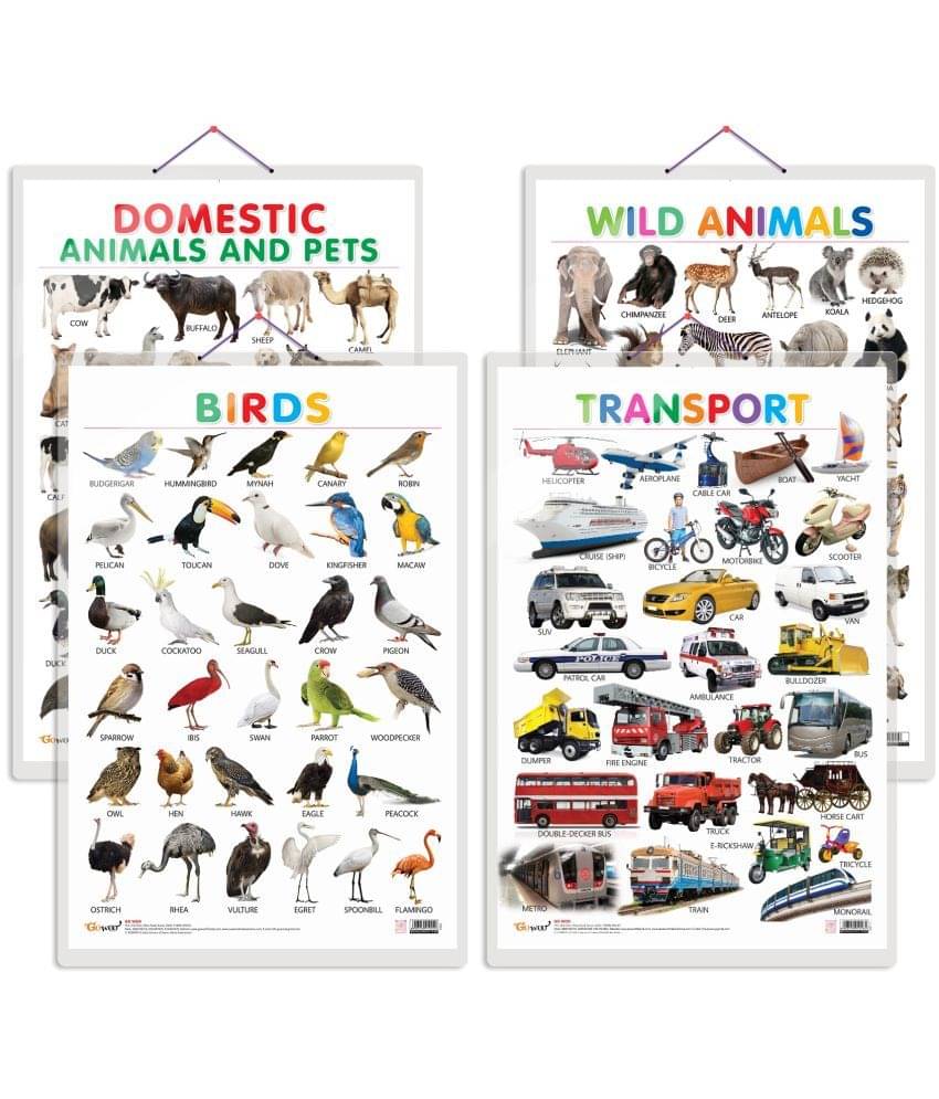 Set of 4 Domestic Animals and Pets, Wild Animals, Birds and Transport Early Learning Educational Charts for Kids | 20"X30" inch |Non-Tearable and Waterproof | Double Sided Laminated | Perfect for Homeschooling, Kindergarten and Nursery Students Set of 4 Domestic Animals and Pets, Wild Animals, Birds and Transport Early Learning Educational Charts for Kids | 20"X30" inch |Non-Tearable and Waterproof | Double Sided Laminated | Perfect for Homeschooling, Kindergarten and Nursery Students