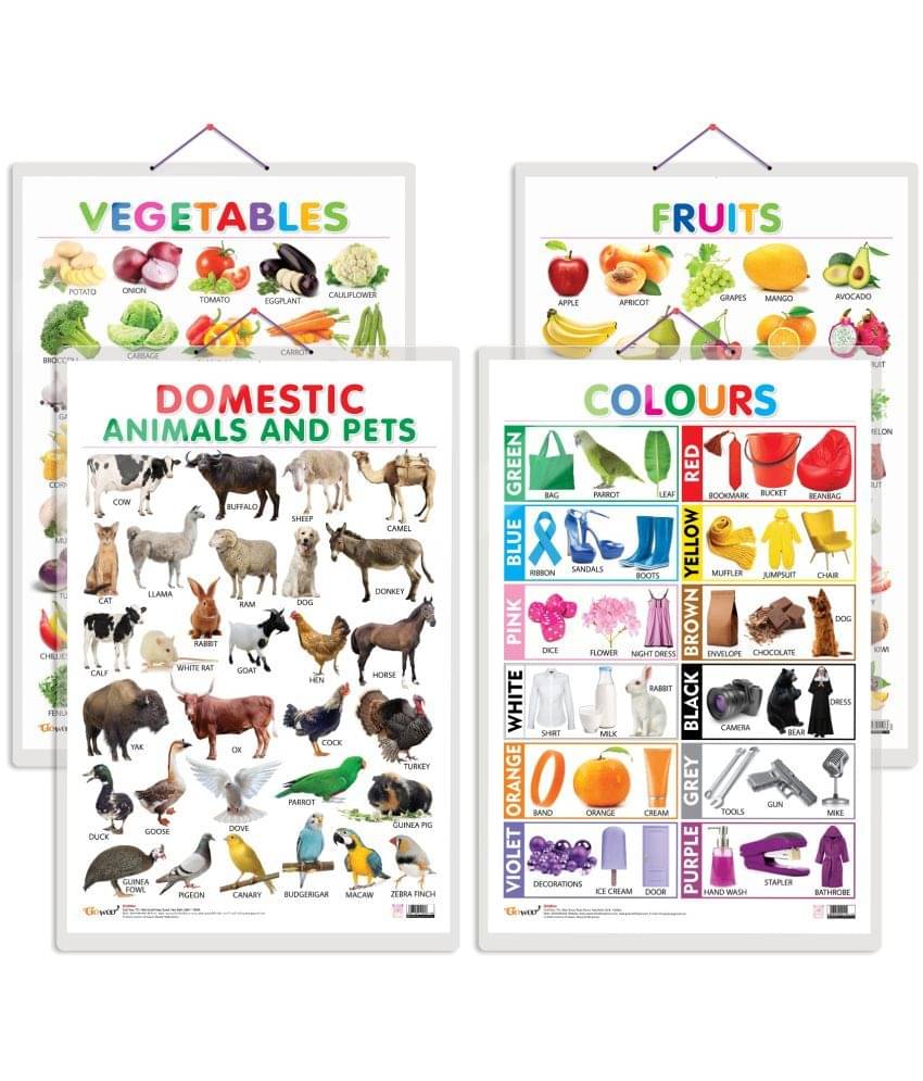     			Set of 4 Fruits, Vegetables, Domestic Animals and Pets and Colours Early Learning Educational Charts for Kids | 20"X30" inch |Non-Tearable and Waterproof | Double Sided Laminated | Perfect for Homeschooling, Kindergarten and Nursery Students