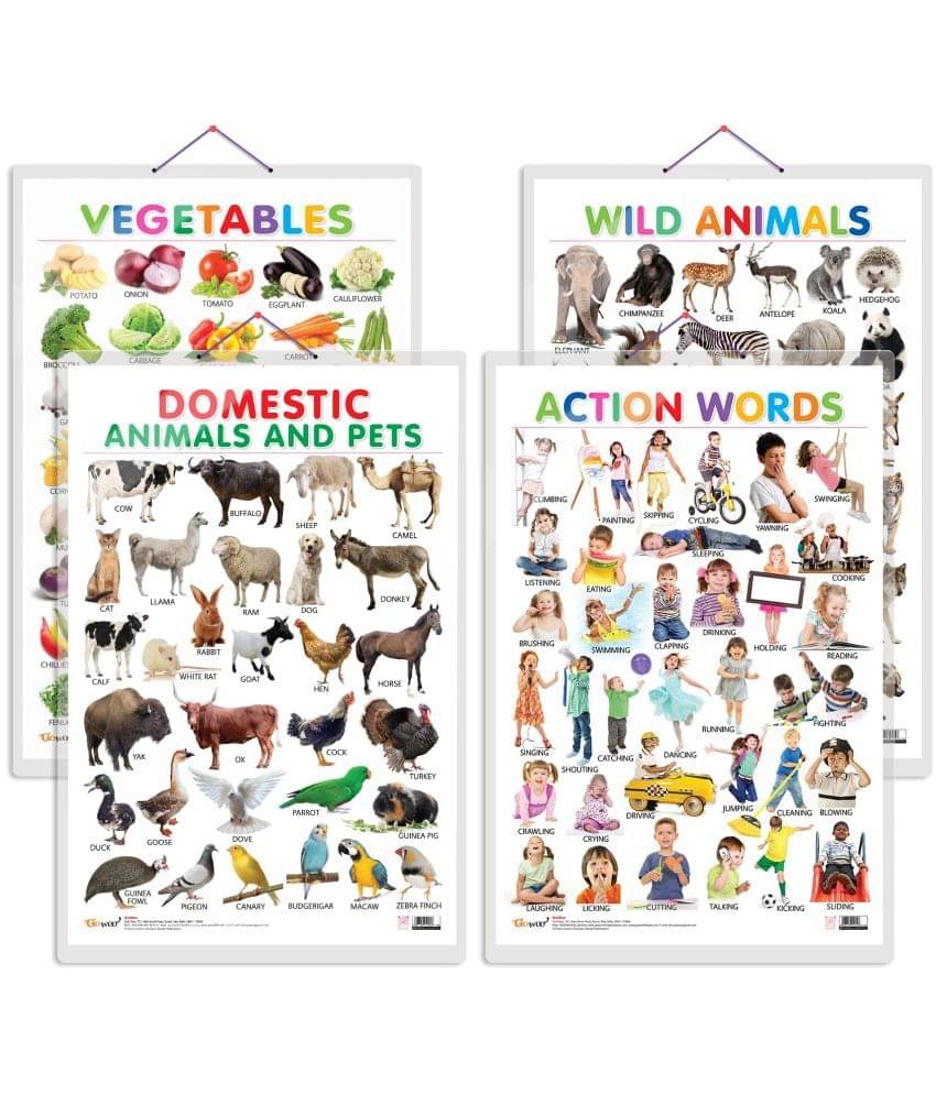 Set of 4 Vegetables, Domestic Animals and Pets, Wild Animals and Action Words Early Learning Educational Charts for Kids | 20"X30" inch |Non-Tearable and Waterproof | Double Sided Laminated | Perfect for Homeschooling, Kindergarten and Nursery Students Set of 4 Vegetables, Domestic Animals and Pets, Wild Animals and Action Words Early Learning Educational Charts for Kids | 20"X30" inch |Non-Tearable and Waterproof | Double Sided Laminated | Perfect for Homeschooling, Kindergarten and Nursery Students
