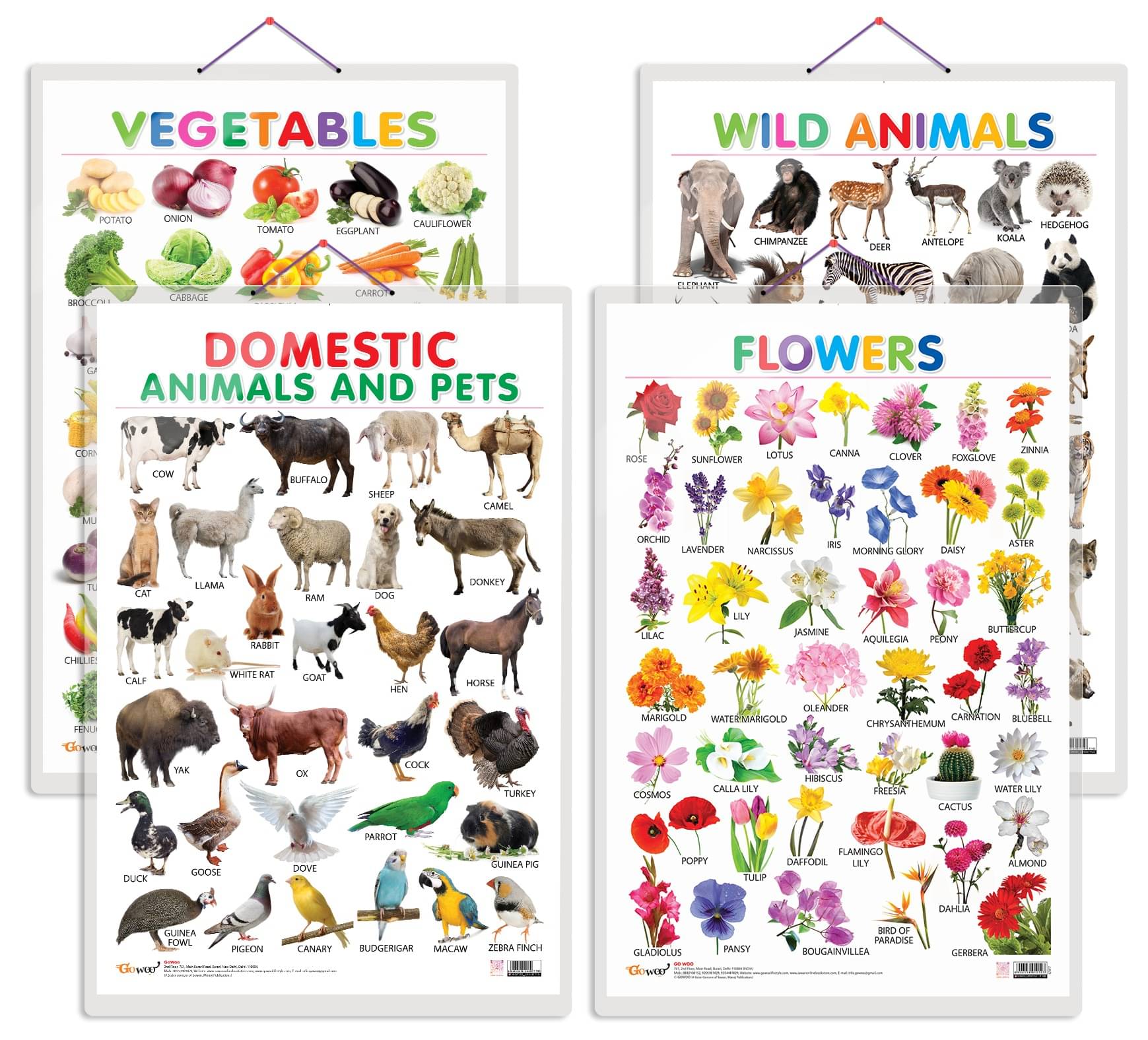 Set of 4 Vegetables, Domestic Animals and Pets, Wild Animals and Flowers Early Learning Educational Charts for Kids | 20"X30" inch |Non-Tearable and Waterproof | Double Sided Laminated | Perfect for Homeschooling, Kindergarten and Nursery Students Set of 4 Vegetables, Domestic Animals and Pets, Wild Animals and Flowers Early Learning Educational Charts for Kids | 20"X30" inch |Non-Tearable and Waterproof | Double Sided Laminated | Perfect for Homeschooling, Kindergarten and Nursery Students
