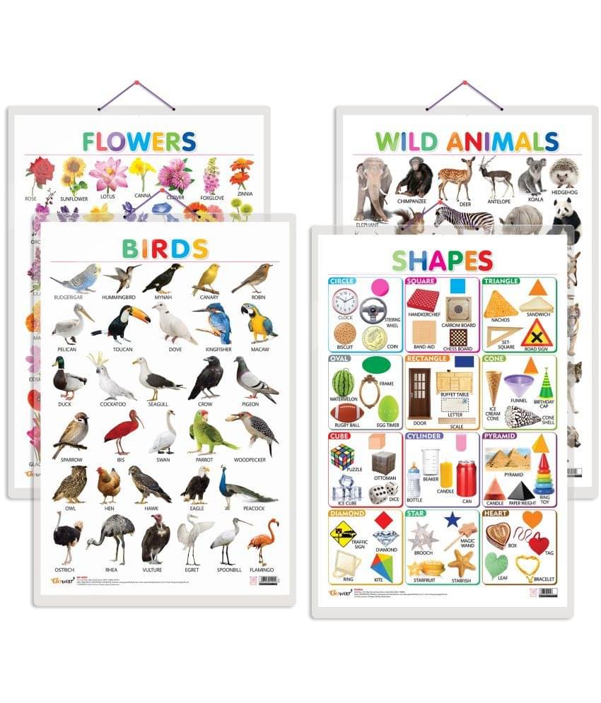 Set of 4 Wild Animals, Birds, Flowers and Shapes Early Learning Educational Charts for Kids | 20"X30" inch |Non-Tearable and Waterproof | Double Sided Laminated | Perfect for Homeschooling, Kindergarten and Nursery Students Set of 4 Wild Animals, Birds, Flowers and Shapes Early Learning Educational Charts for Kids | 20"X30" inch |Non-Tearable and Waterproof | Double Sided Laminated | Perfect for Homeschooling, Kindergarten and Nursery Students