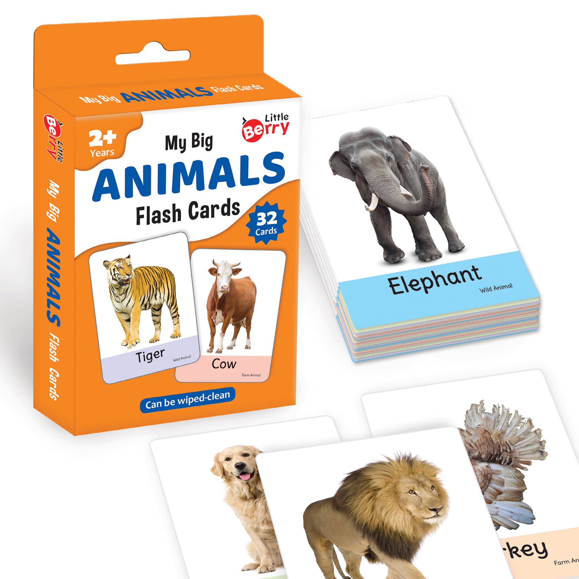 Little Berry Big Flash Cards for Kids: Animals | 32 Double-sided Picture Cards, Durable & Water Resistant | Early Learning and Development Toy for Preschoolers & Toddlers 2-6 Years | Can Be Wiped & Cleaned