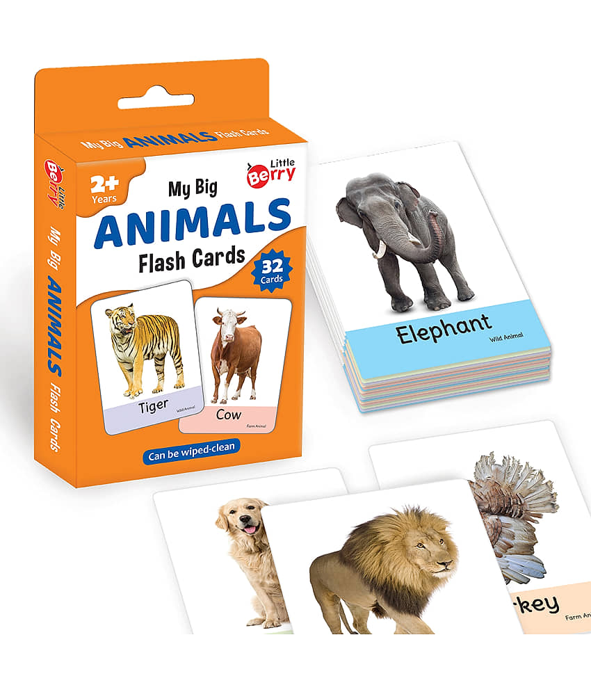 Little Berry Big Flash Cards for Kids: Animals | 32 Double-sided Picture Cards, Durable & Water Resistant | Early Learning and Development Toy for Preschoolers & Toddlers 2-6 Years | Can Be Wiped & Cleaned - Toys and Games | Buy online on ZillyBuy