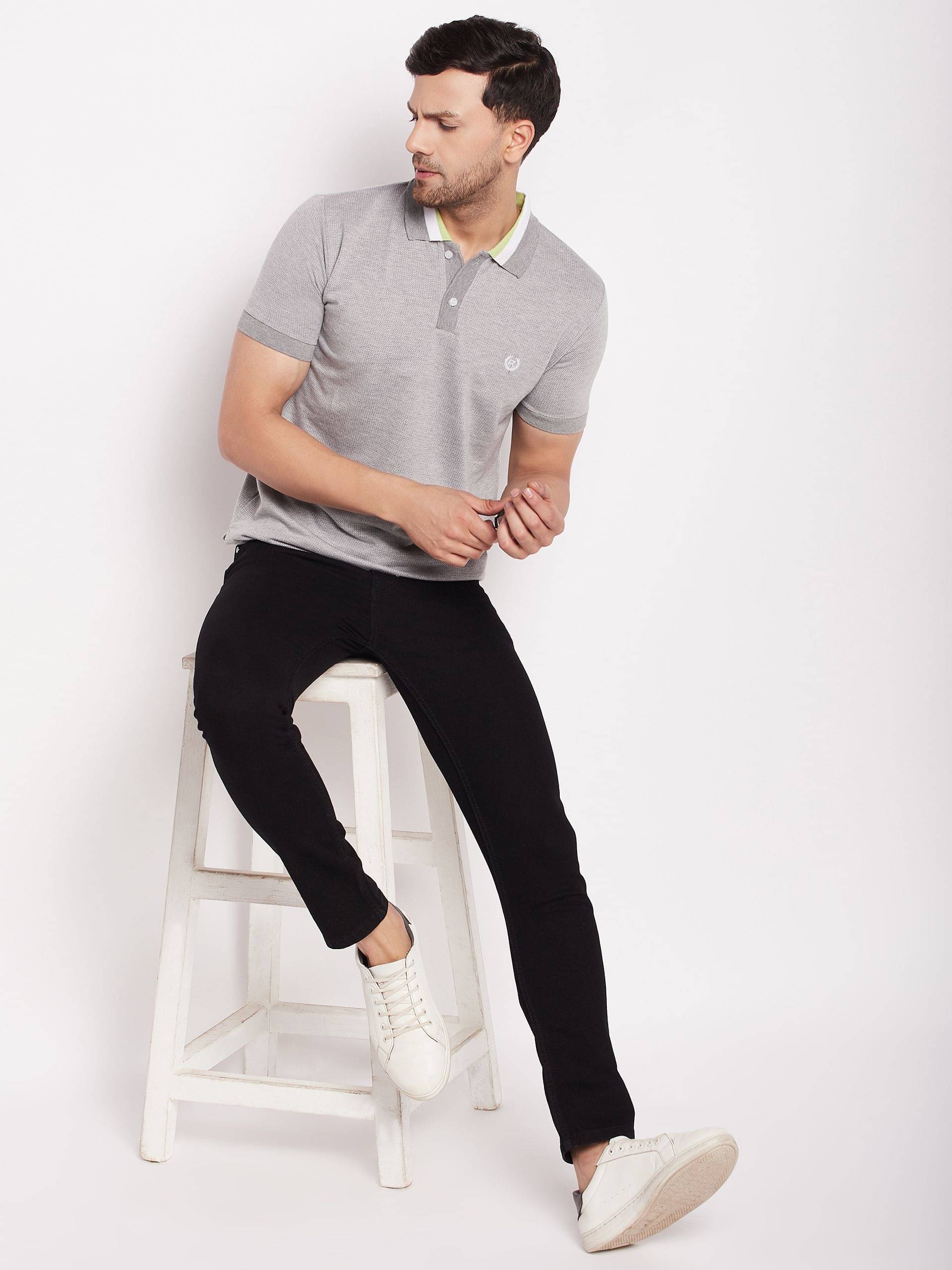 First Krush Pack of 1 Cotton Regular Fit Self Design Half Sleeves Men's Polo T Shirt ( Grey )     			First Krush Pack of 1 Cotton Regular Fit Self Design Half Sleeves Men's Polo T Shirt ( Grey )