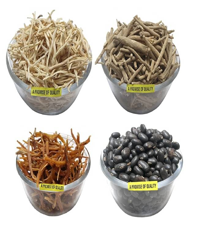 MYGODGIFT Shatavar, Safed Musli, Ashwagandha Kaunch Beej 50 GM EACH 200 gm Pack of 4     			MYGODGIFT Shatavar, Safed Musli, Ashwagandha Kaunch Beej 50 GM EACH 200 gm Pack of 4