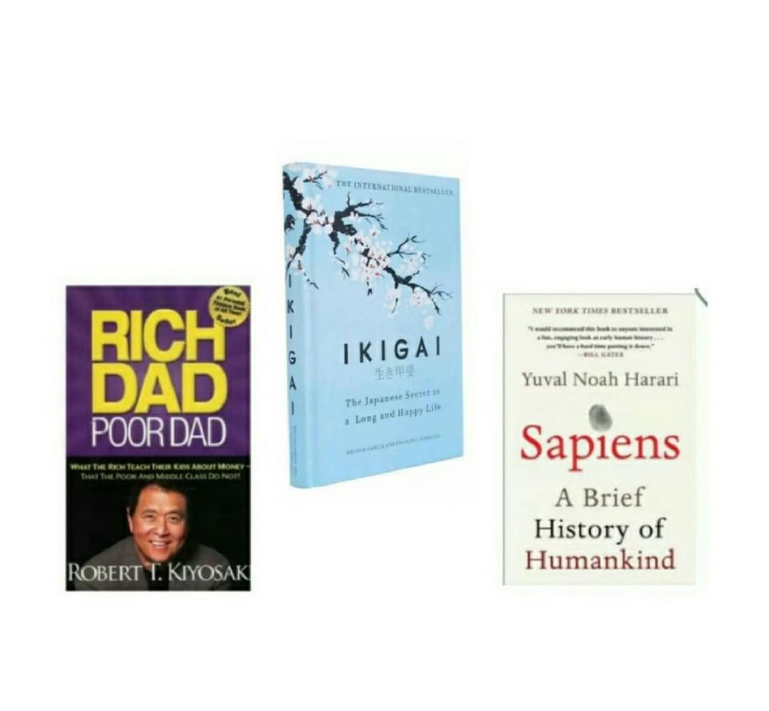     			(combo of three Sapiens , IKIGAI & Rich dad)