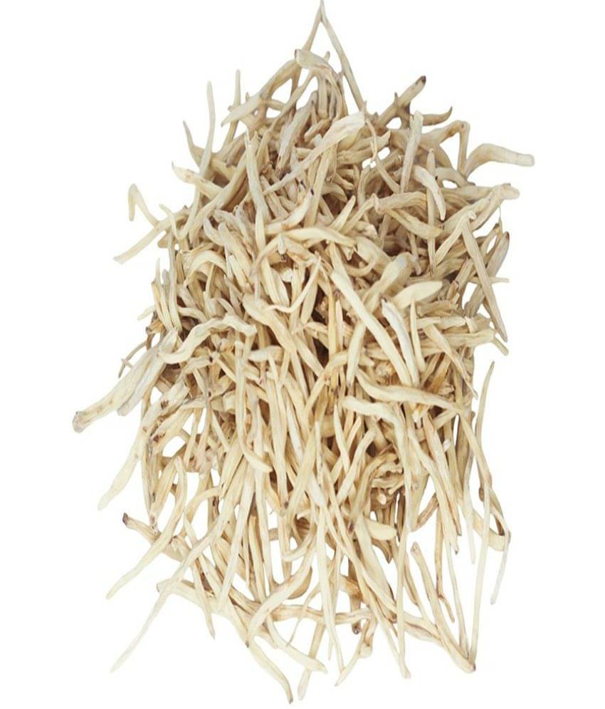 MYGODGIFT  MUSLI SAFED JARD/MUSLI ROOTS/CHLOROPHYTUM BORIVILIANUM Seed  200 gm     			MYGODGIFT  MUSLI SAFED JARD/MUSLI ROOTS/CHLOROPHYTUM BORIVILIANUM Seed  200 gm