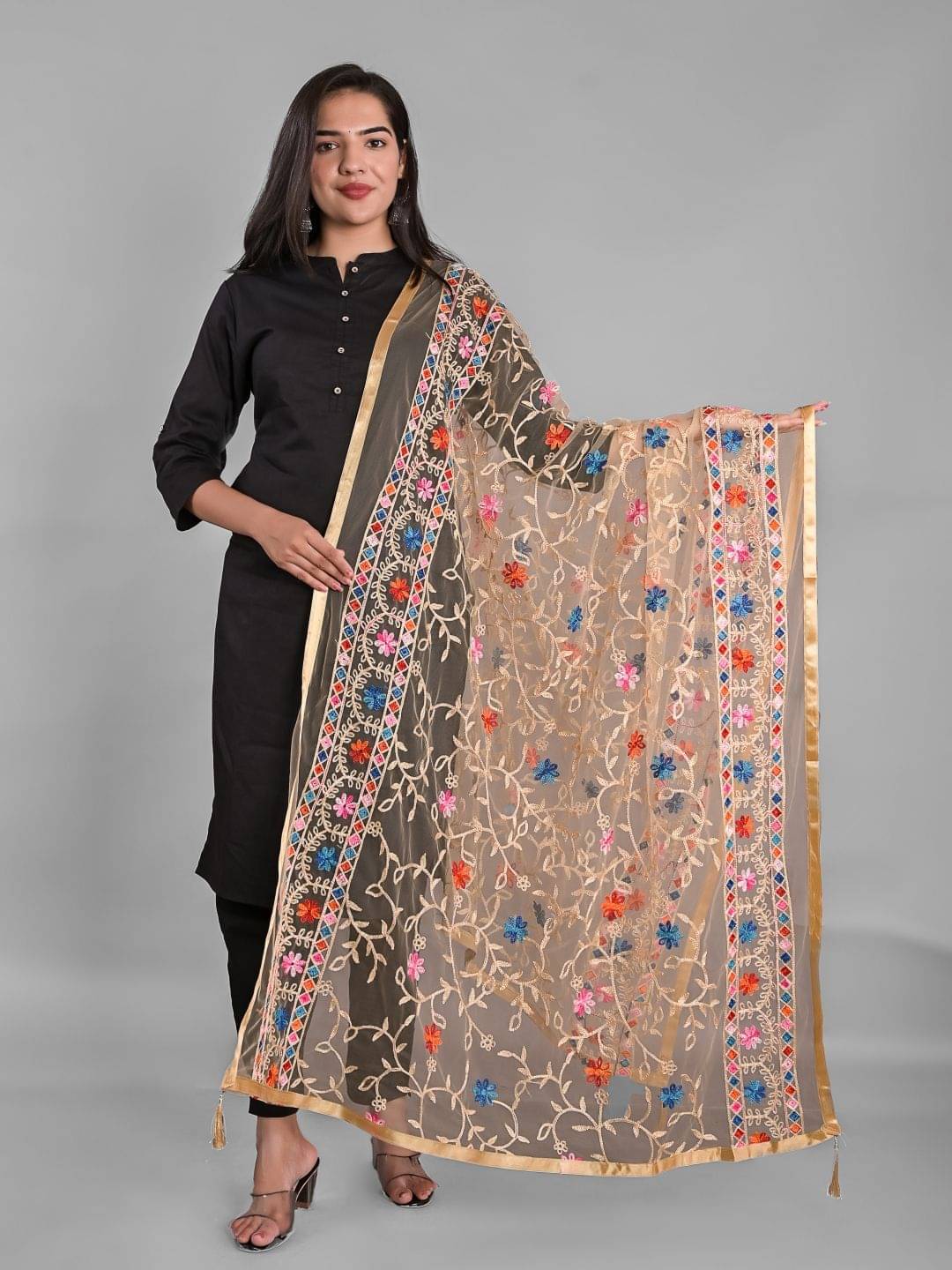 Aprtaim - Beige Net Women's Dupatta - ( Pack of 1 ) Aprtaim - Beige Net Women's Dupatta - ( Pack of 1 )