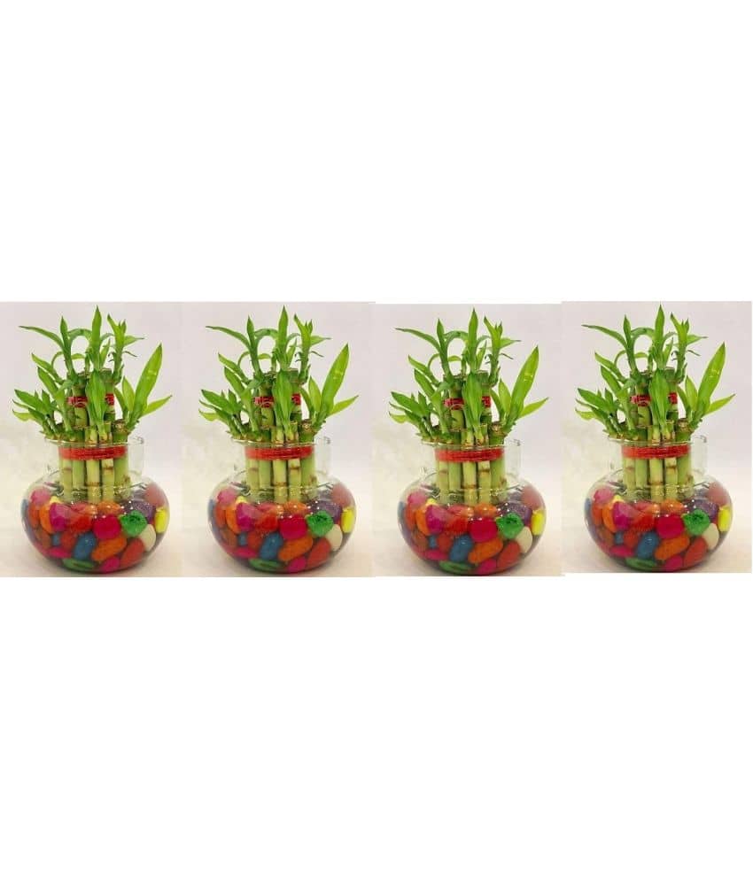 Green plant indoor - Green Wild Artificial Flowers With Pot ( Pack of 4 )