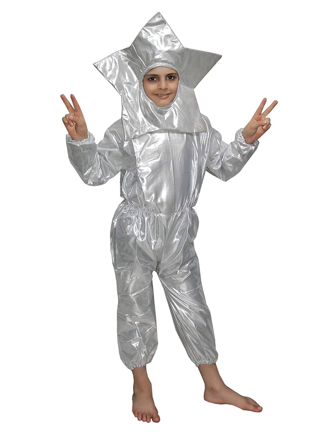    			Kaku Fancy Dresses Nature Theme Star Costume -Silver, 3-4 Years, For Boys & Girls