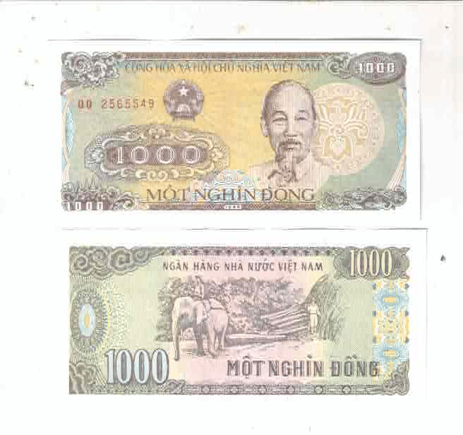     			HOBBY BASE - COLLECTION 1 Paper currency & Bank notes